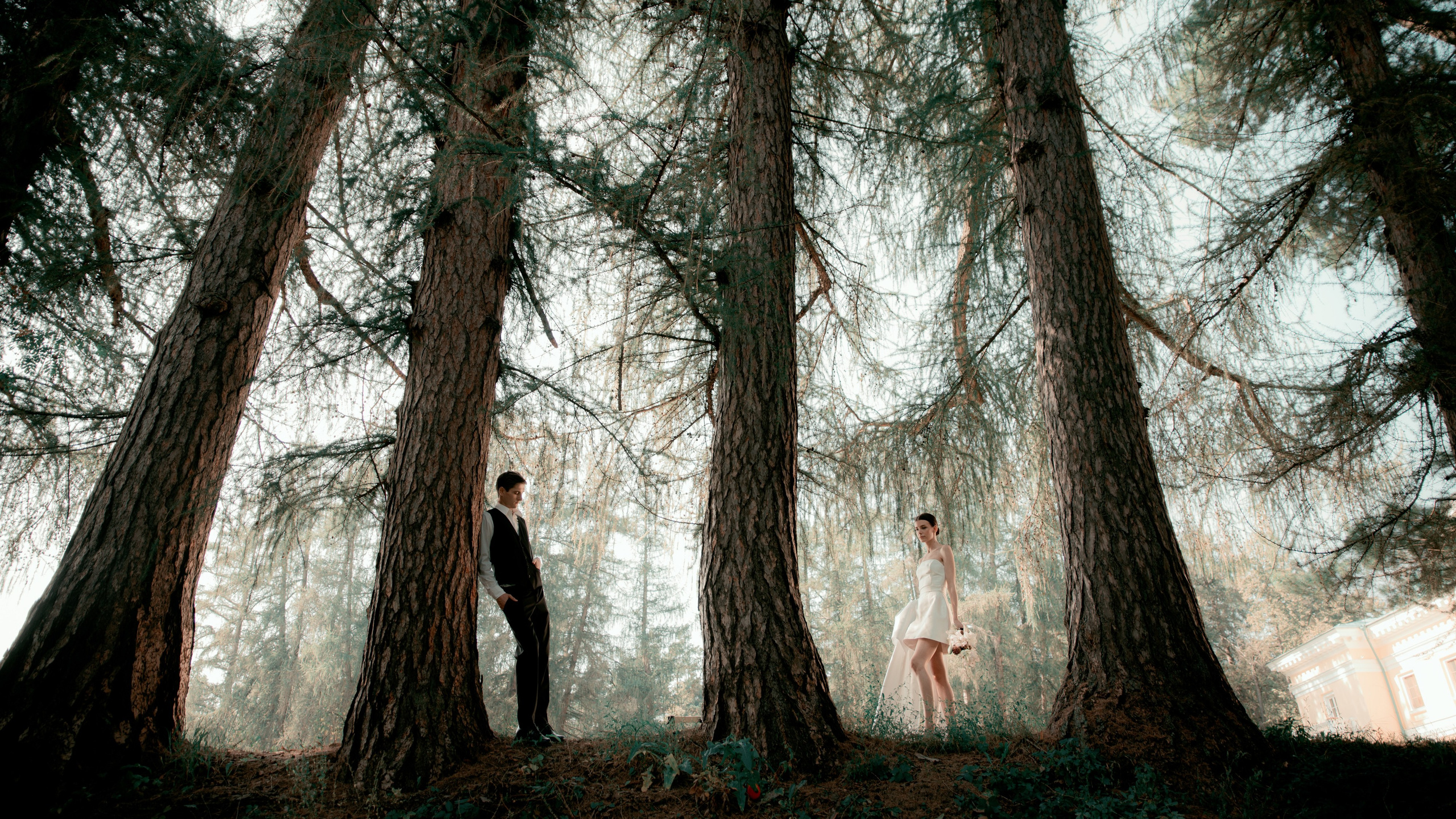 Свадебный и портретный фотограф в Москве Жердев Даниил