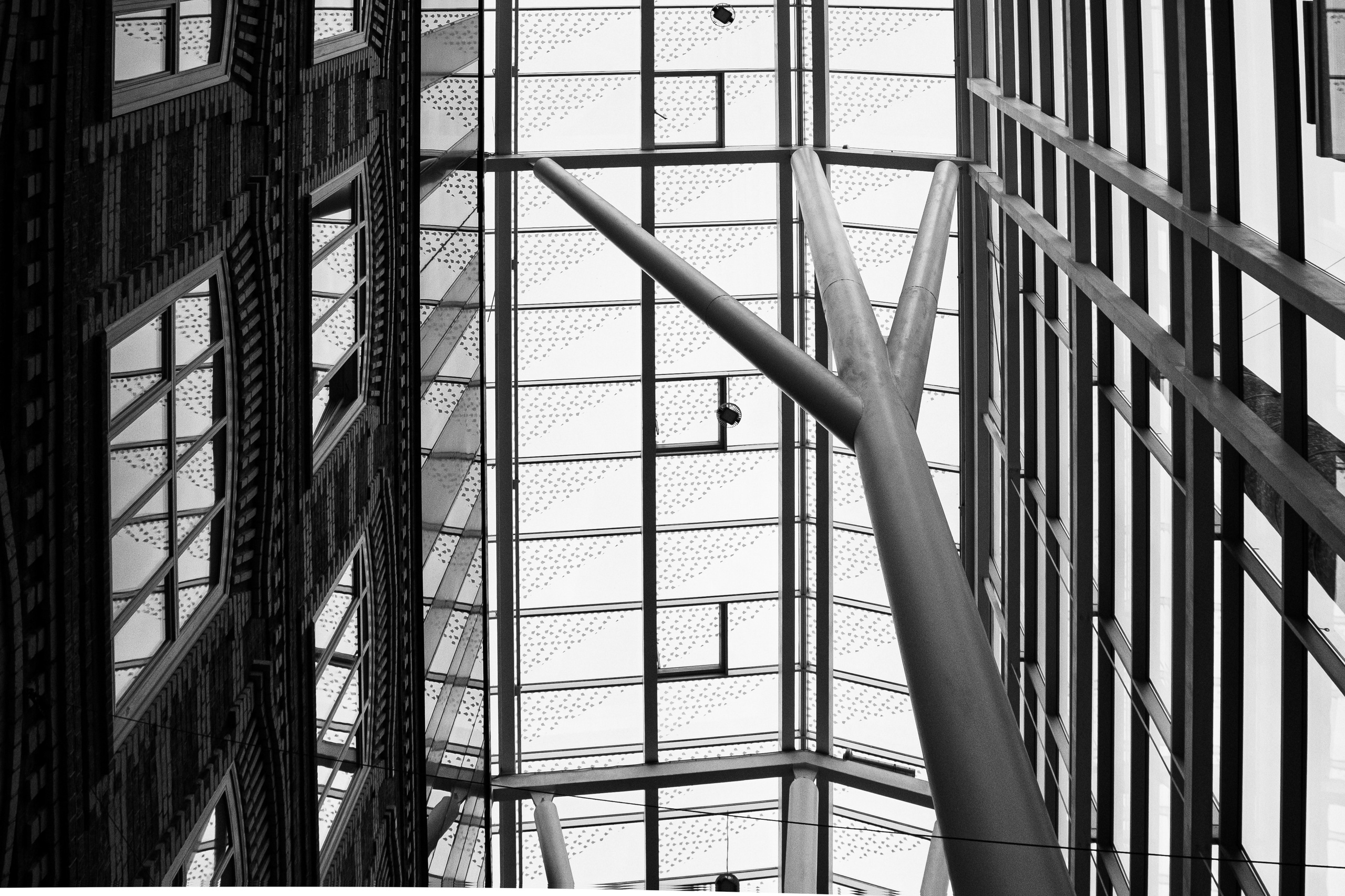 Большевик. Портретный и архитектурный фотограф в Москве и Санкт-Петербурге