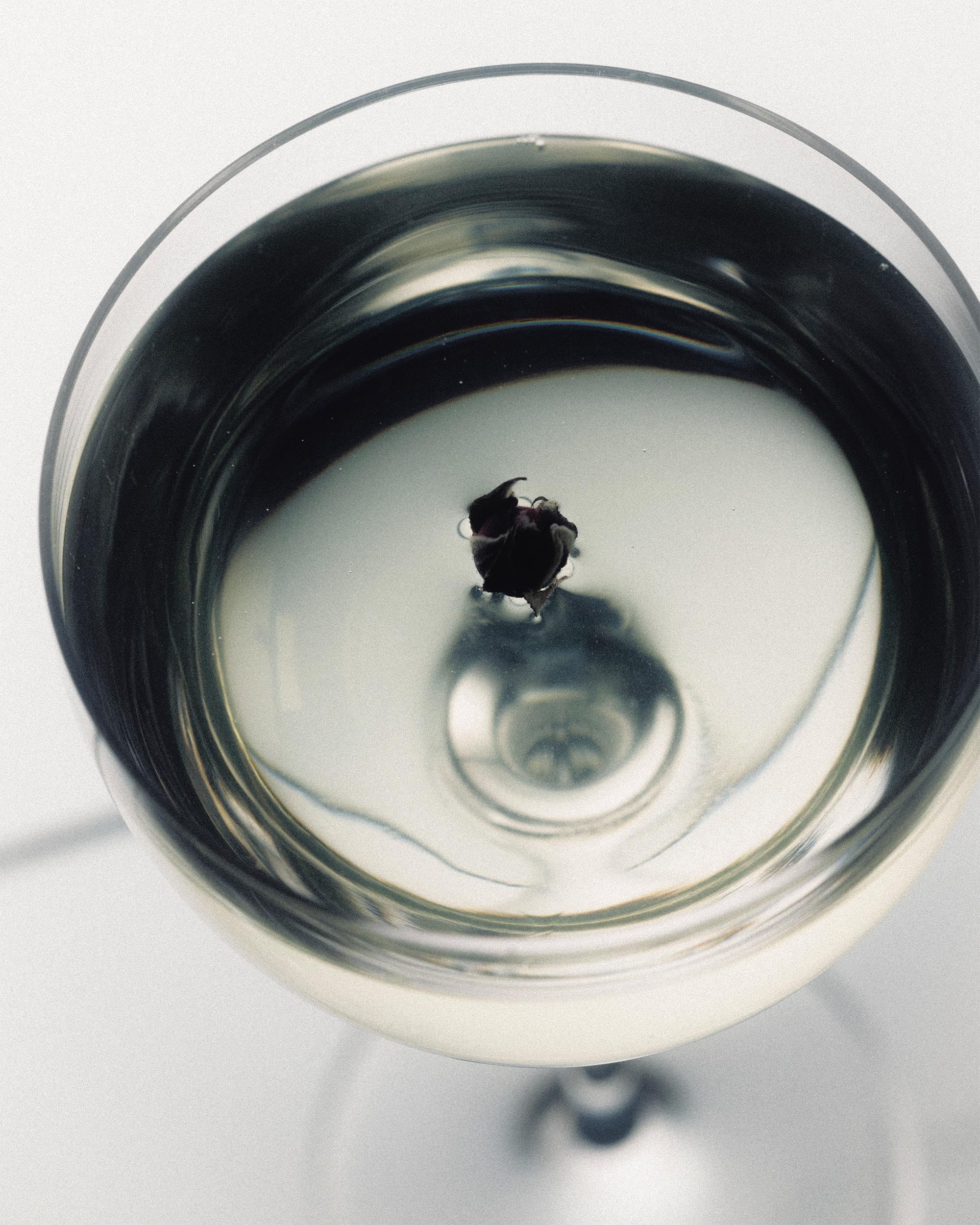 68 — ATOMIC. Ivan Petrov photographer