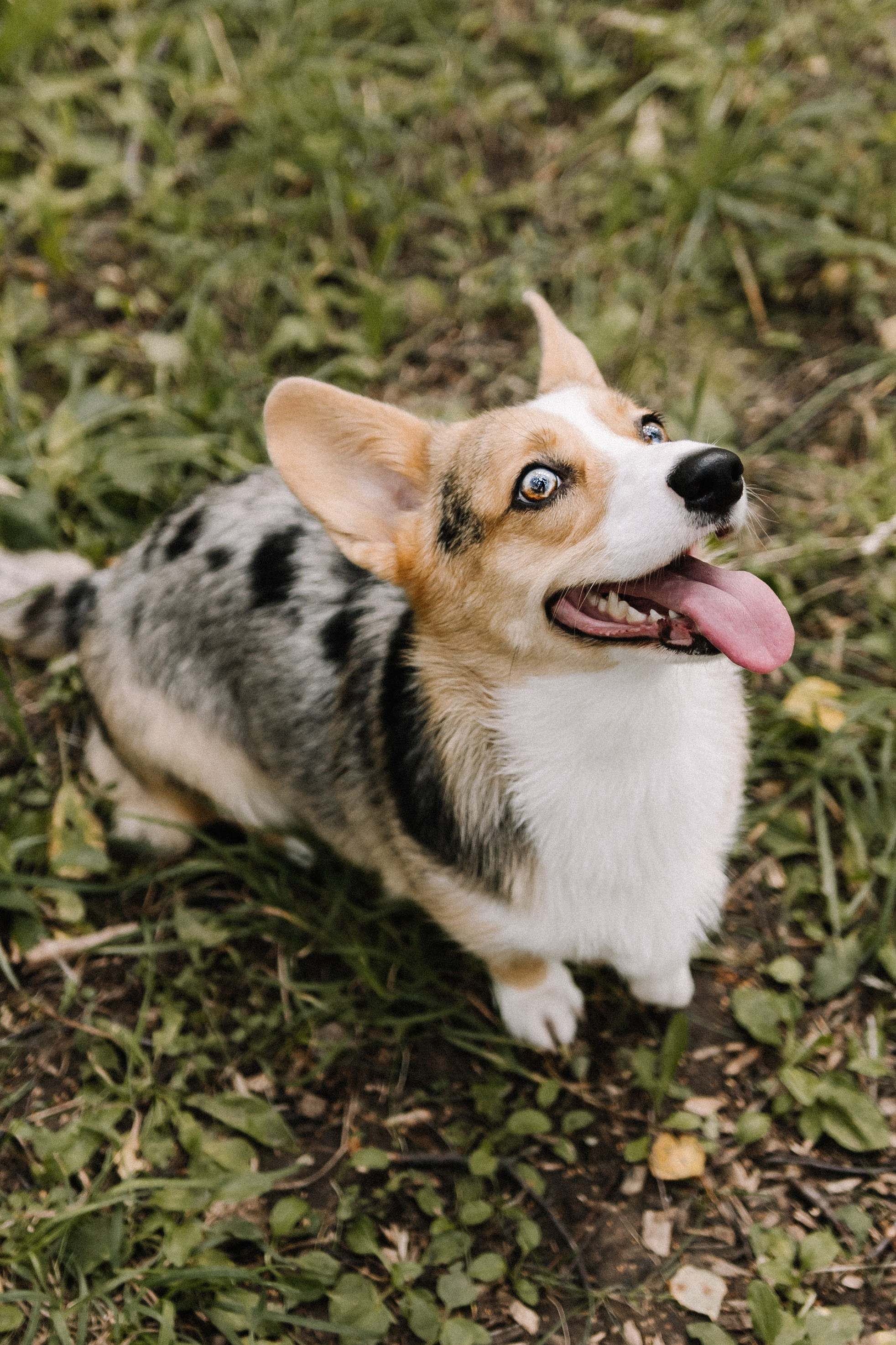 Алина и Тома. Фотограф в Кирове и Кирово-Чепецке Валерия Шиляева
