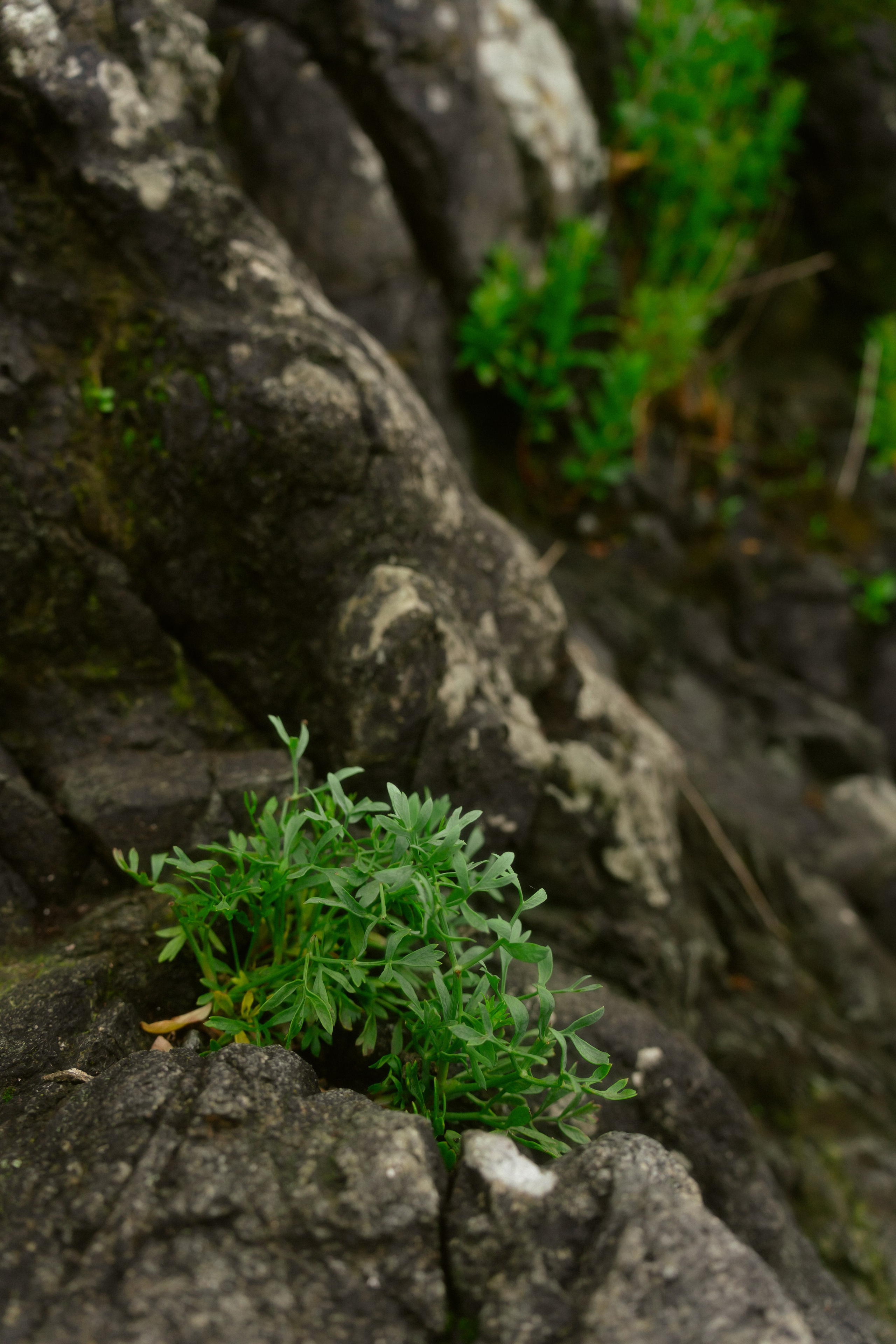 26. Фотограф Батуми | Ксения Кинасова