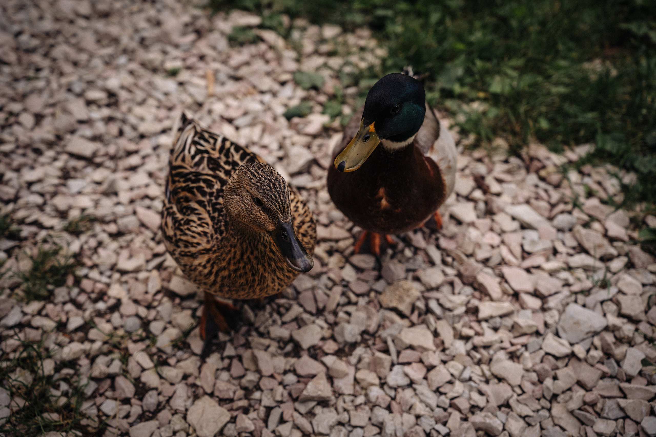 14. Фотограф Батуми | Ксения Кинасова