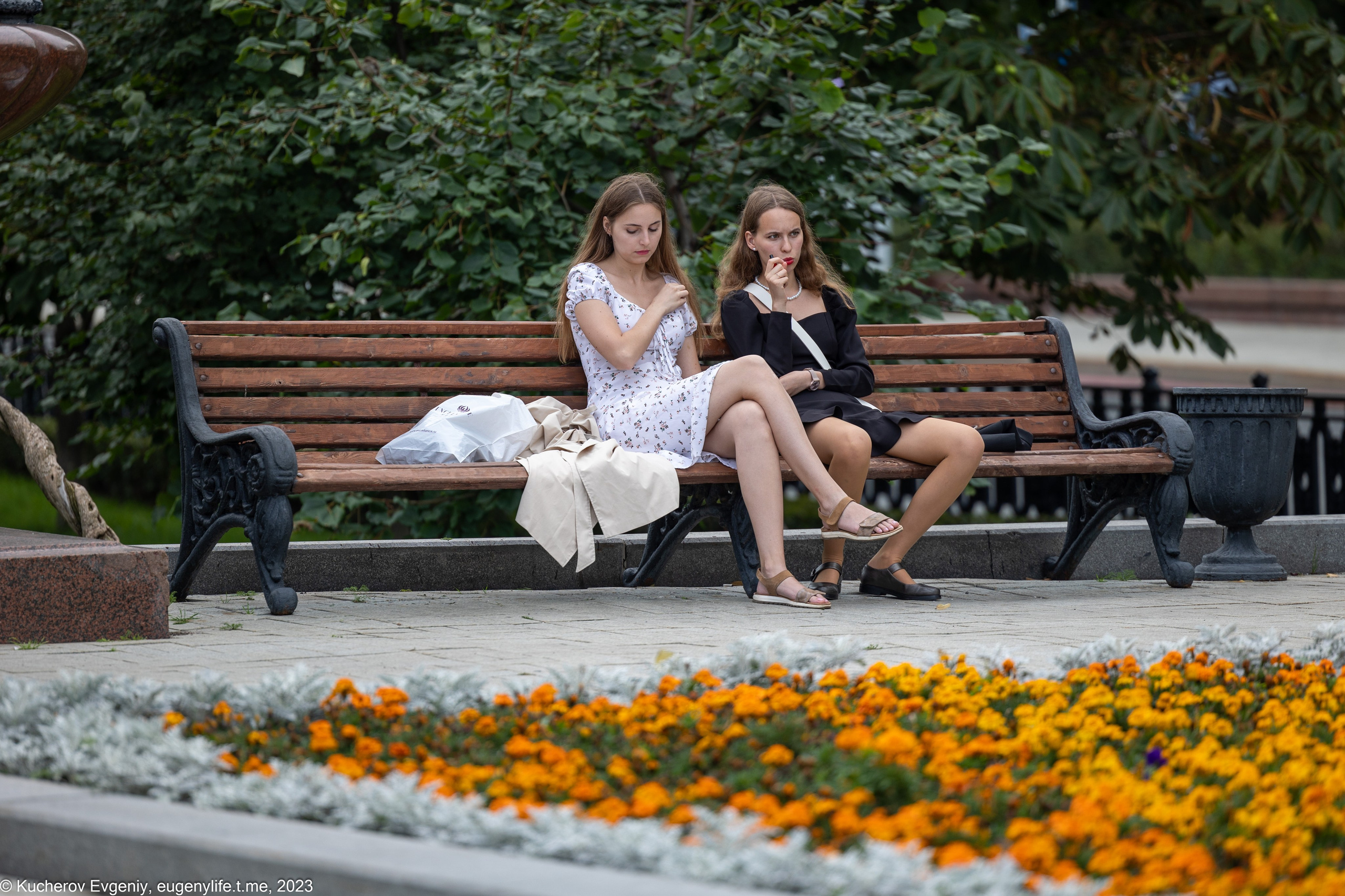 Скамейки. Кучеров Евгений. Фотограф