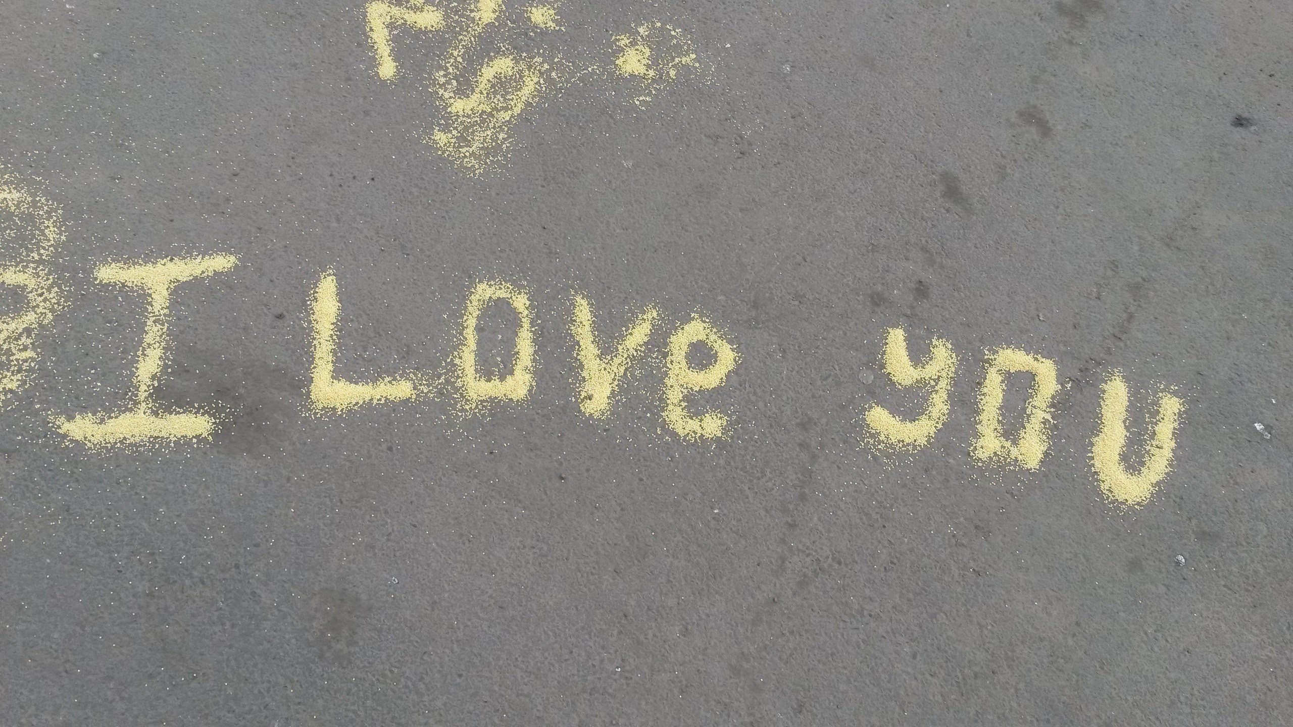 Июль. Семейный, Свадебный фотограф СПБ Питер— Романова Екатерина