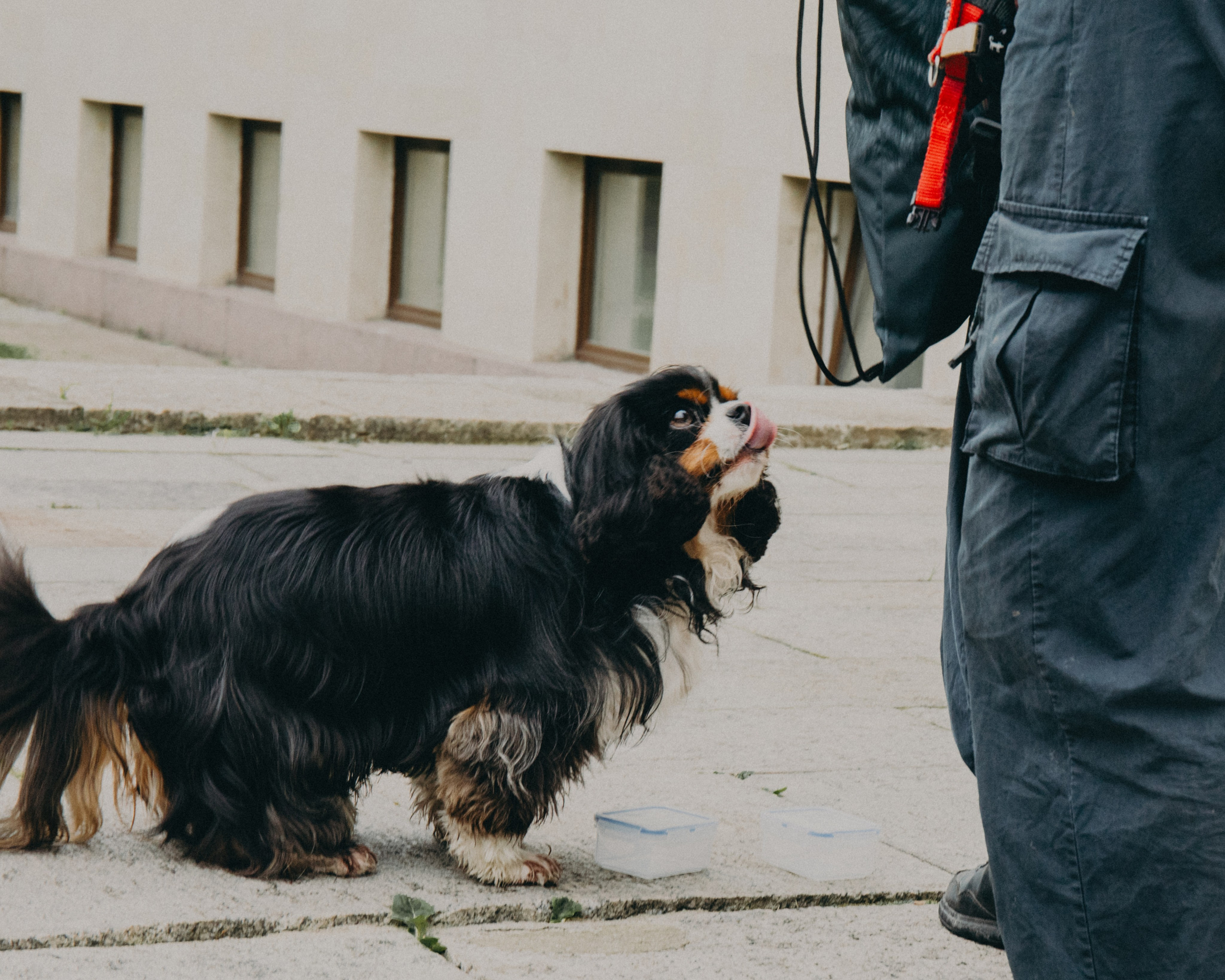 Гилдин. Портретный фотограф Ванинен Анастасия. Санкт-Петербург