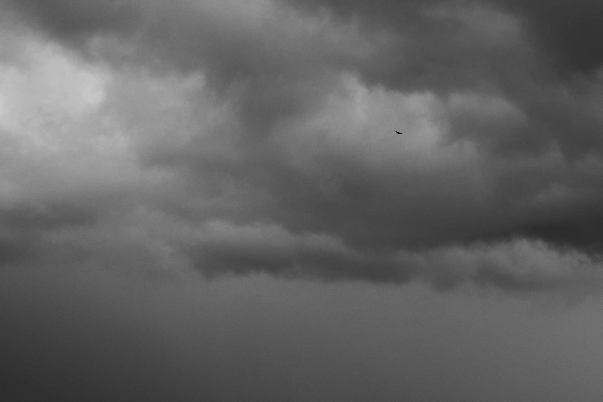 ЛОВИ МОМЕНТ. Свадебный фотограф в Ставрополе Сергей Шляхов