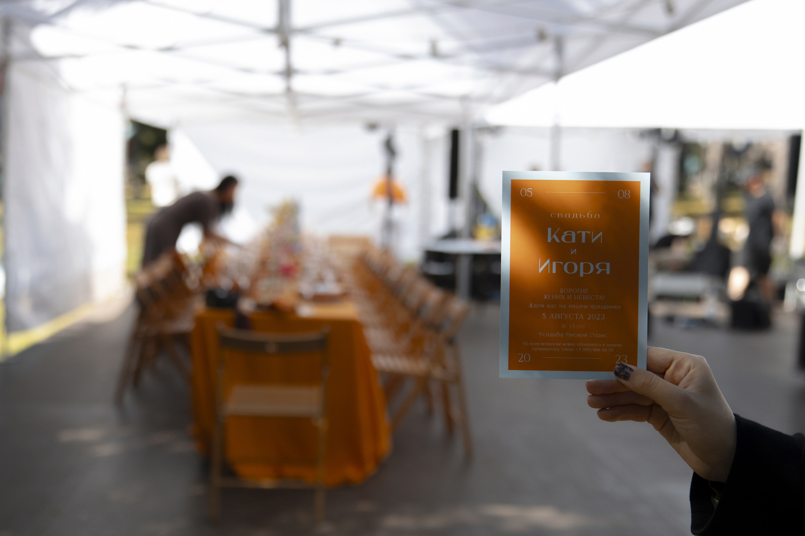 Mamma Mia! (Игорь & Катя). Wed Photographers 📷 Saint Petersburg