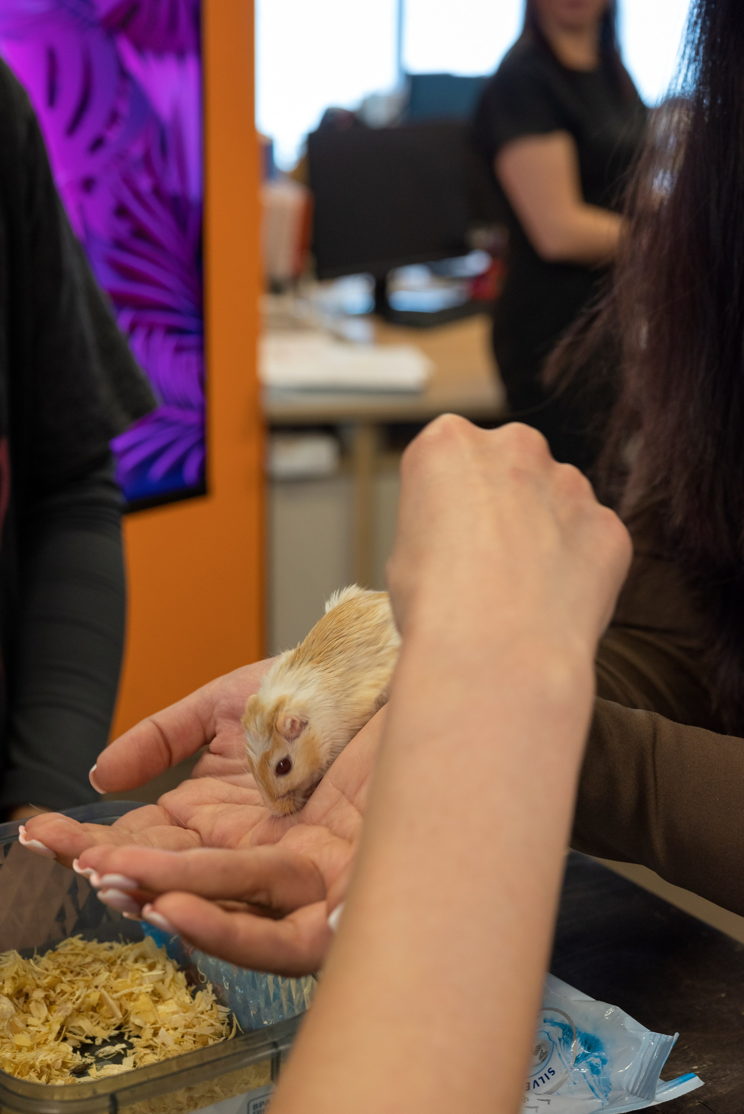 МСМ Групп 8 марта. Ваш фотограф📸 на motorcycle