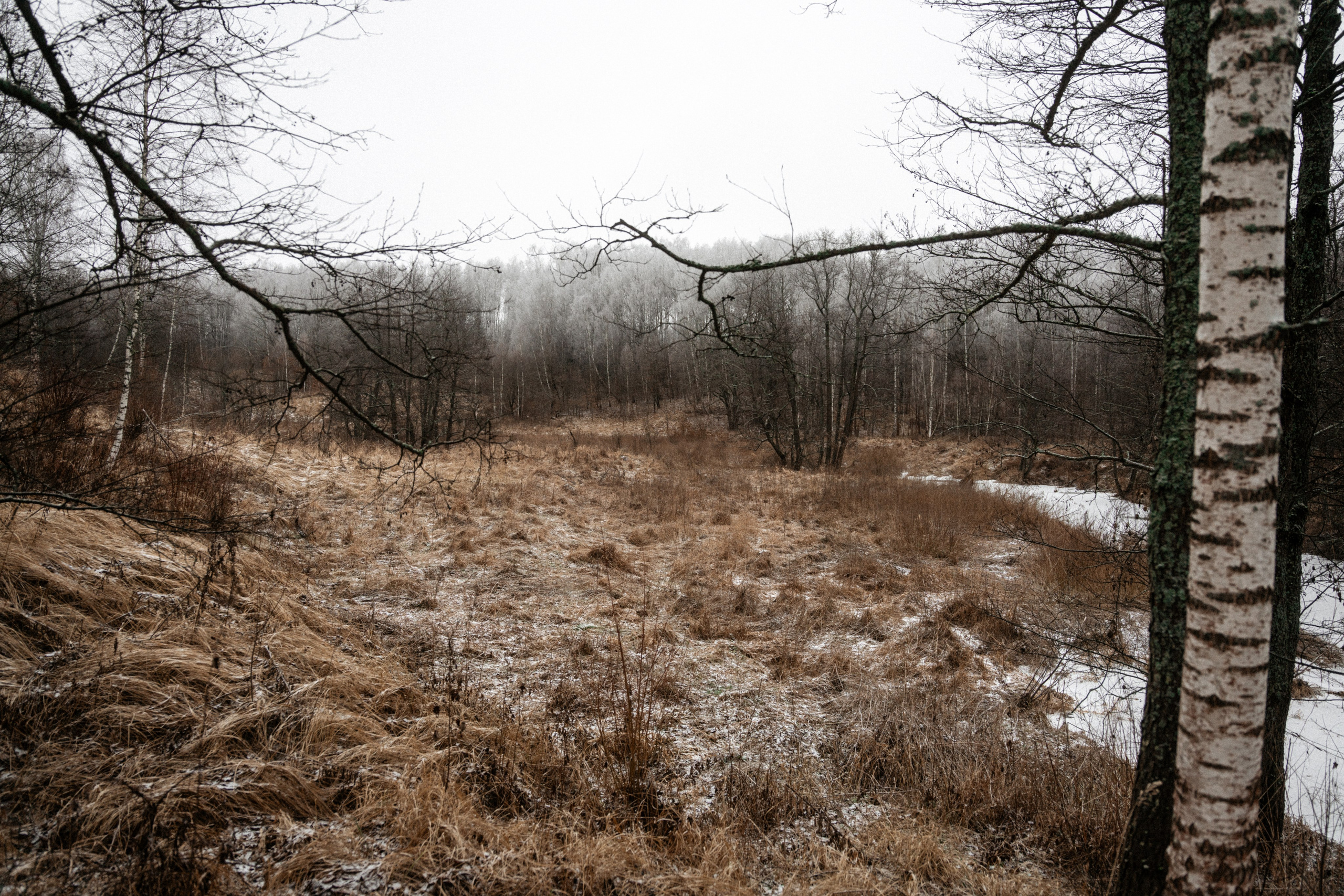 Прогулка по оврагу близ реки. Vlad Trykov