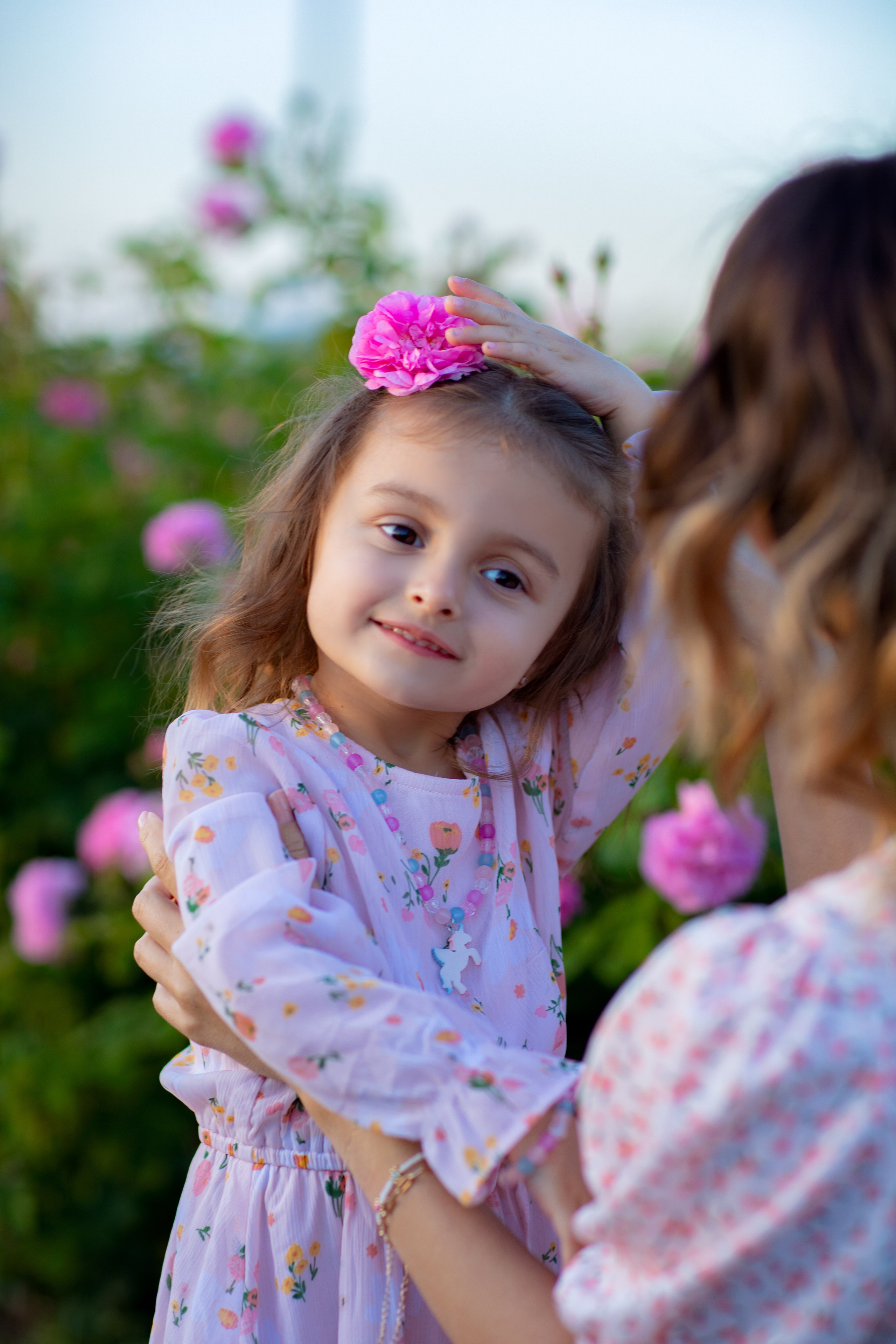 Чайная роза. Фотограф Севастополь/Крым Светлана Евтушенко