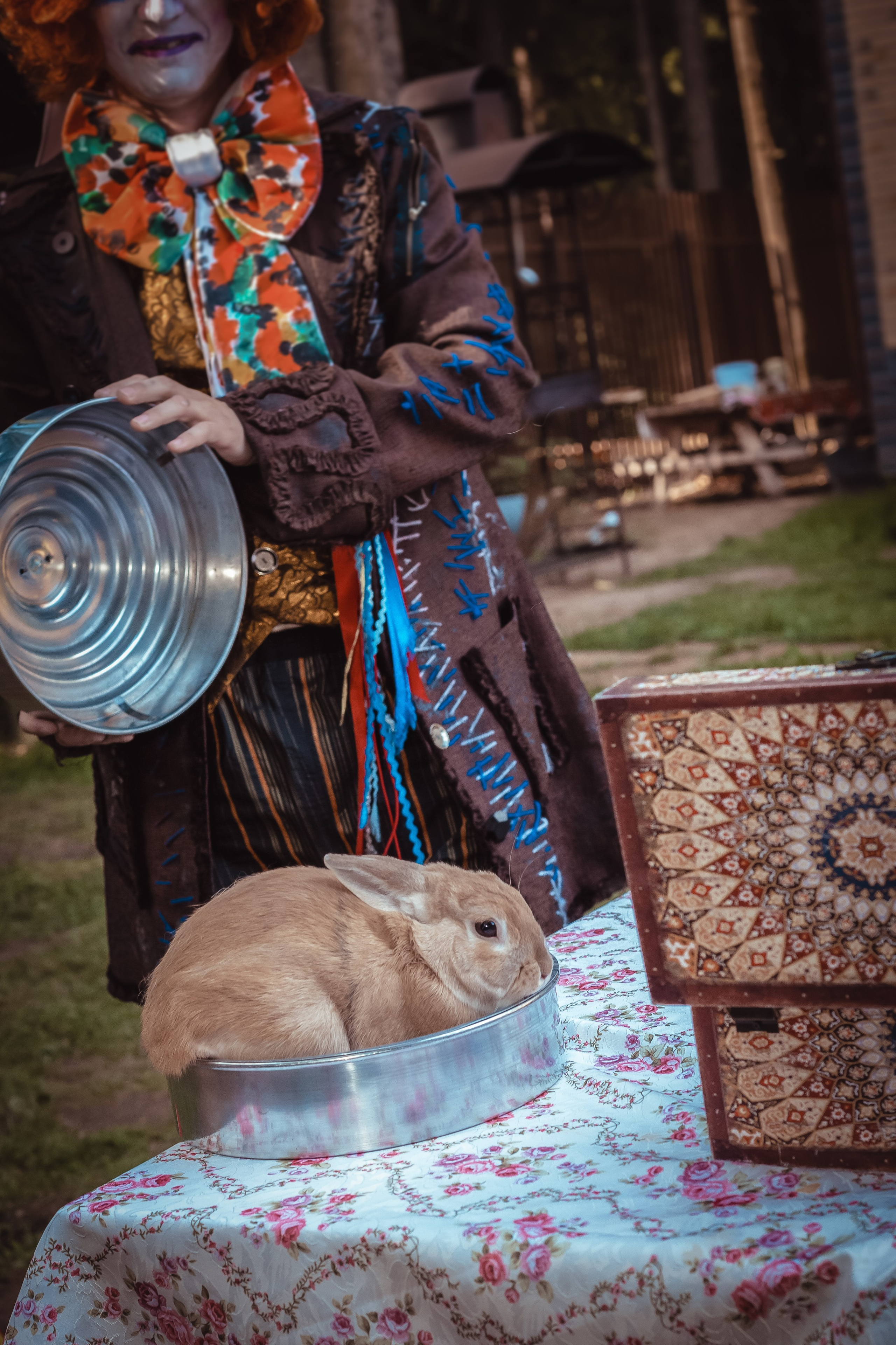 Портфолио фотографий корпоративов и юбилеев