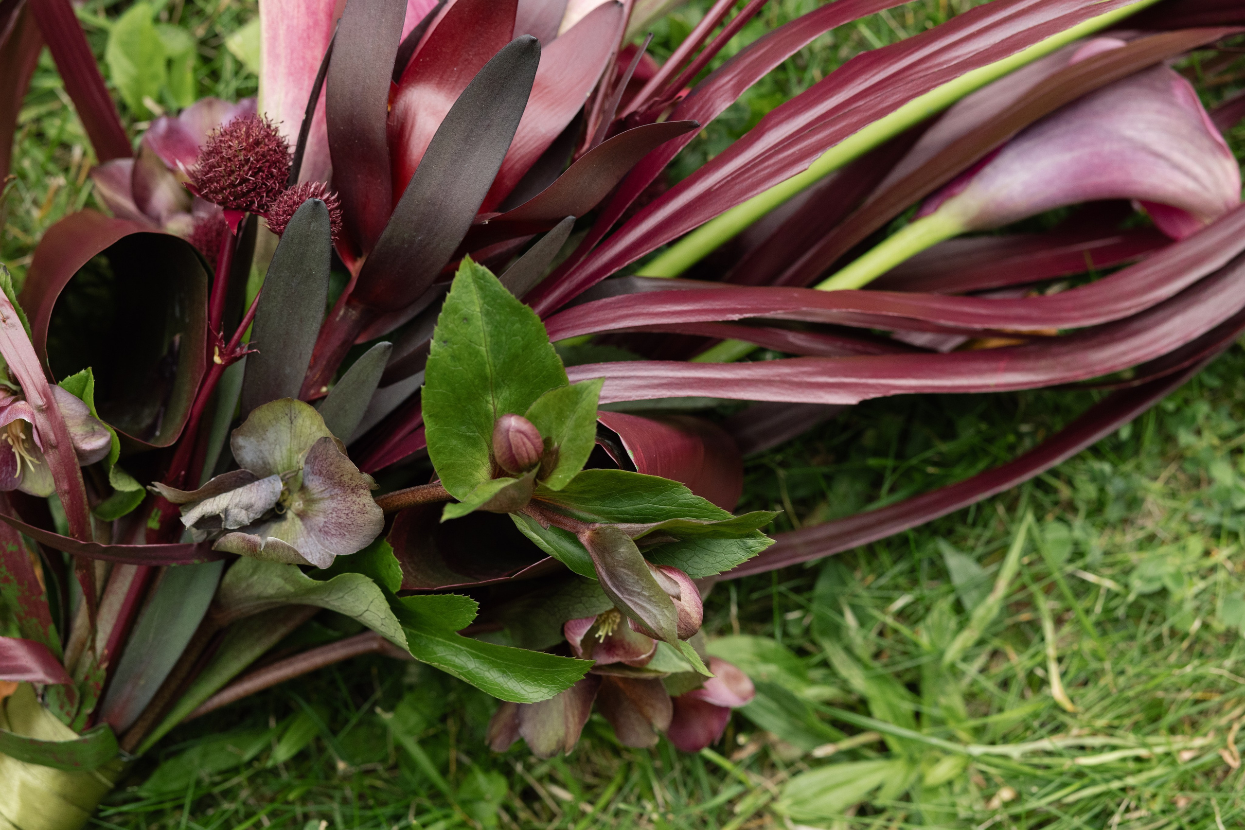 Pavel & Diana. Фотограф в Томске Ирина Павлуцкая
