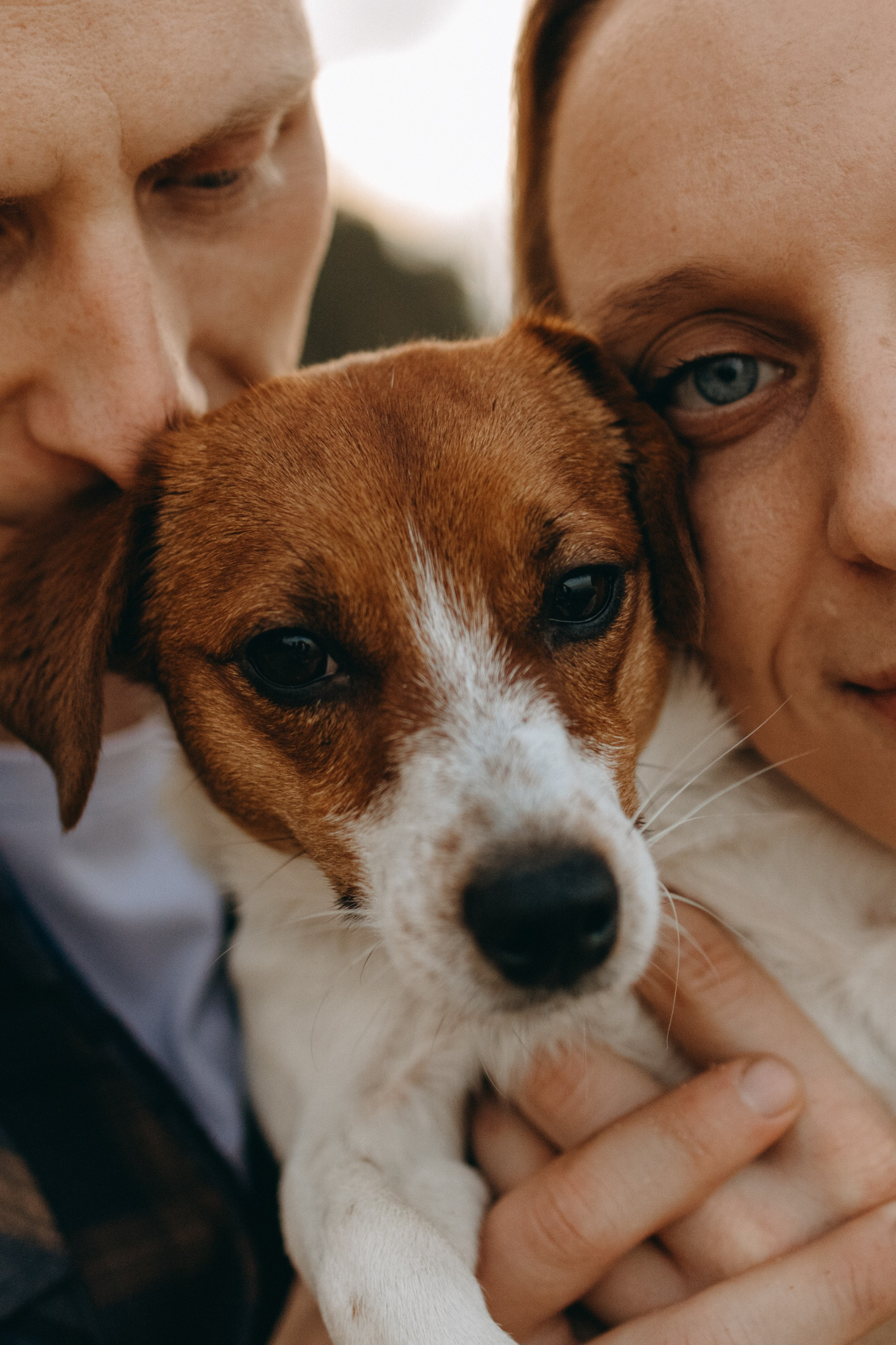 Лея и ее семья. Фотограф — Анималист | Санкт-Петербург