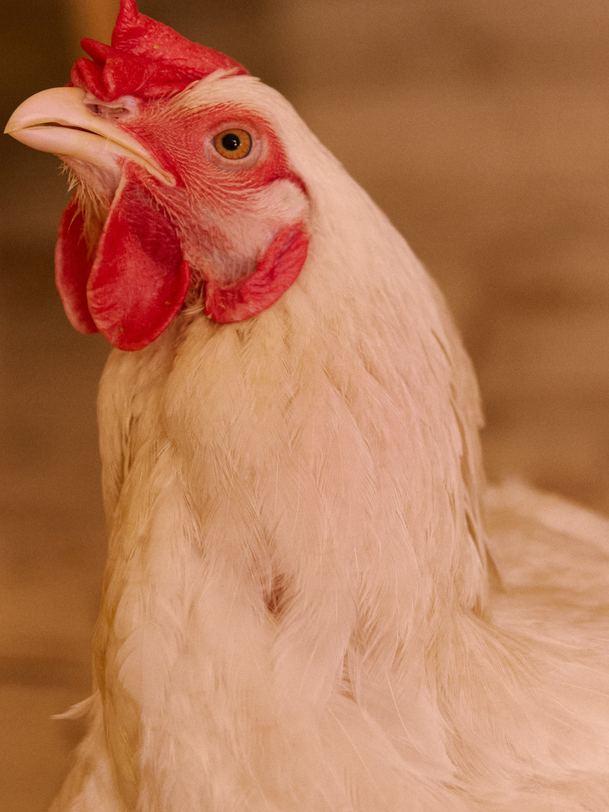 Другое 2. Jorgis Talè — photographer, kind person, teacher of arts and other mag