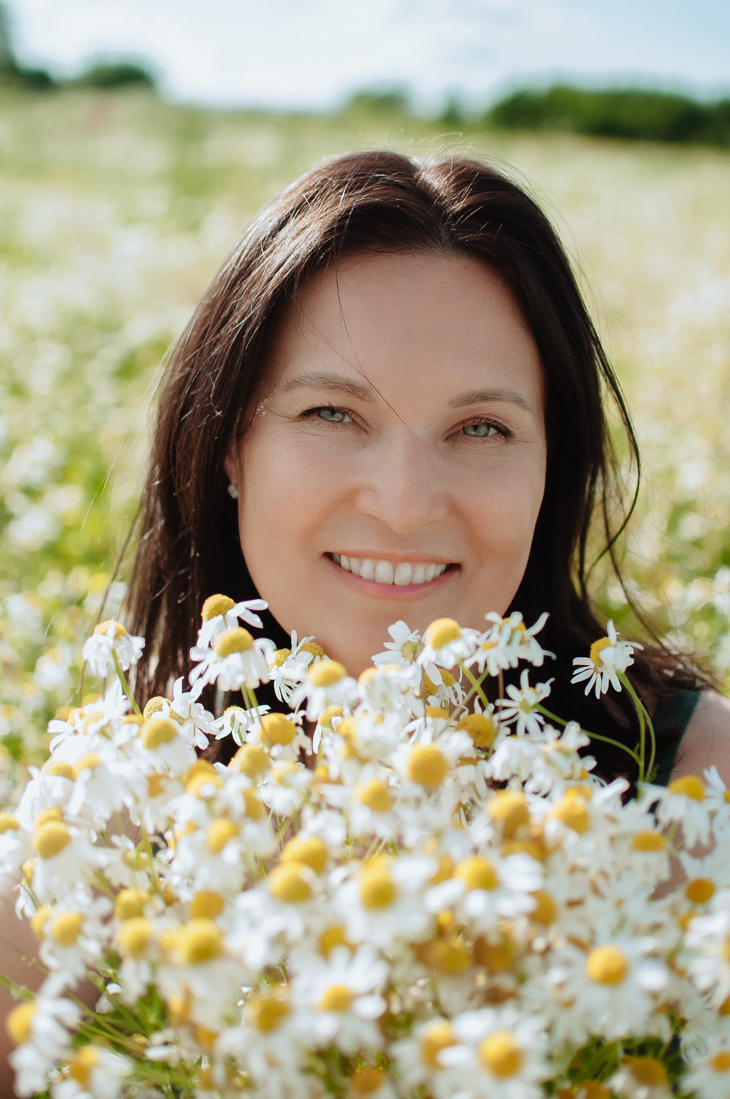 Привет ромашки