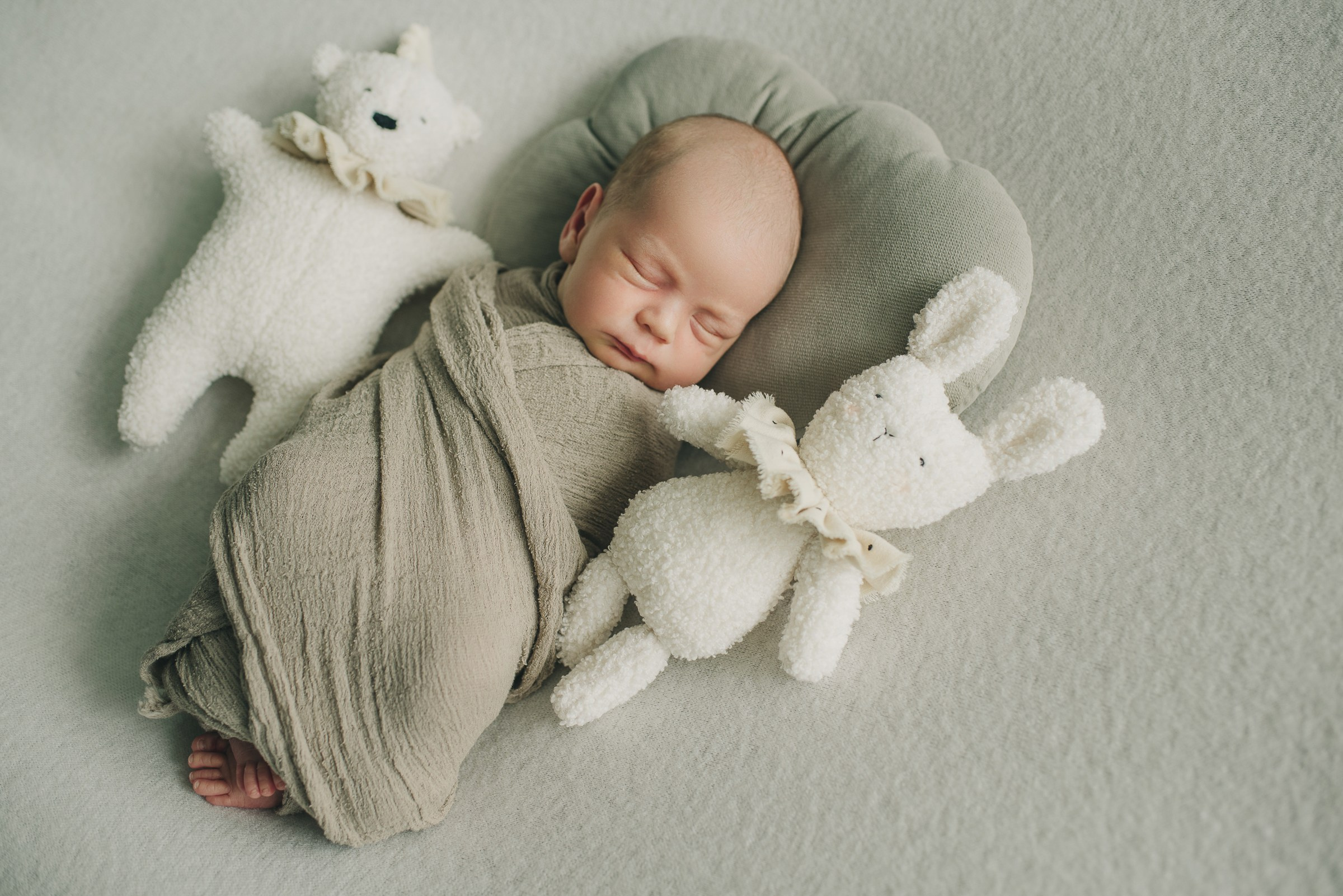 Лев. Фотограф в Москве новорожденные свадьбы семьи Дарья Ларионова