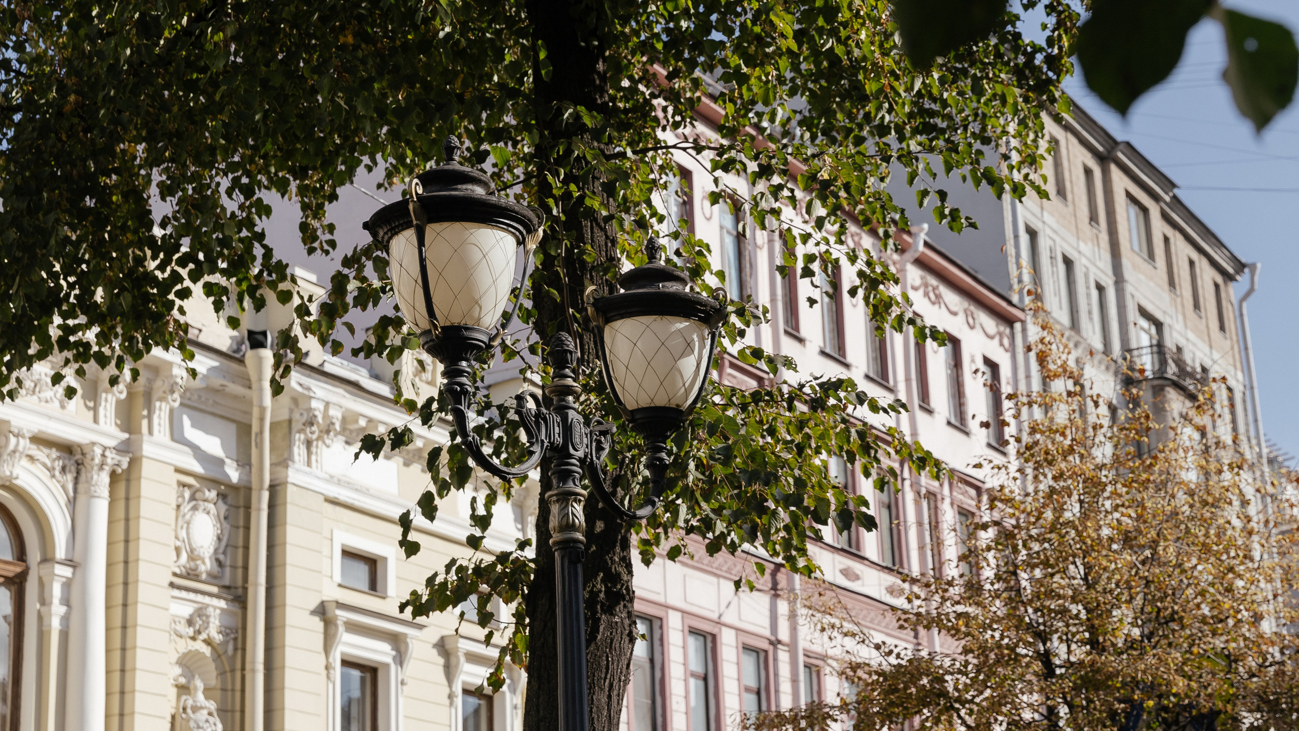 WEDDING D&P. Свадебный фотограф Дмитрий Краснов. Санкт-Петербург