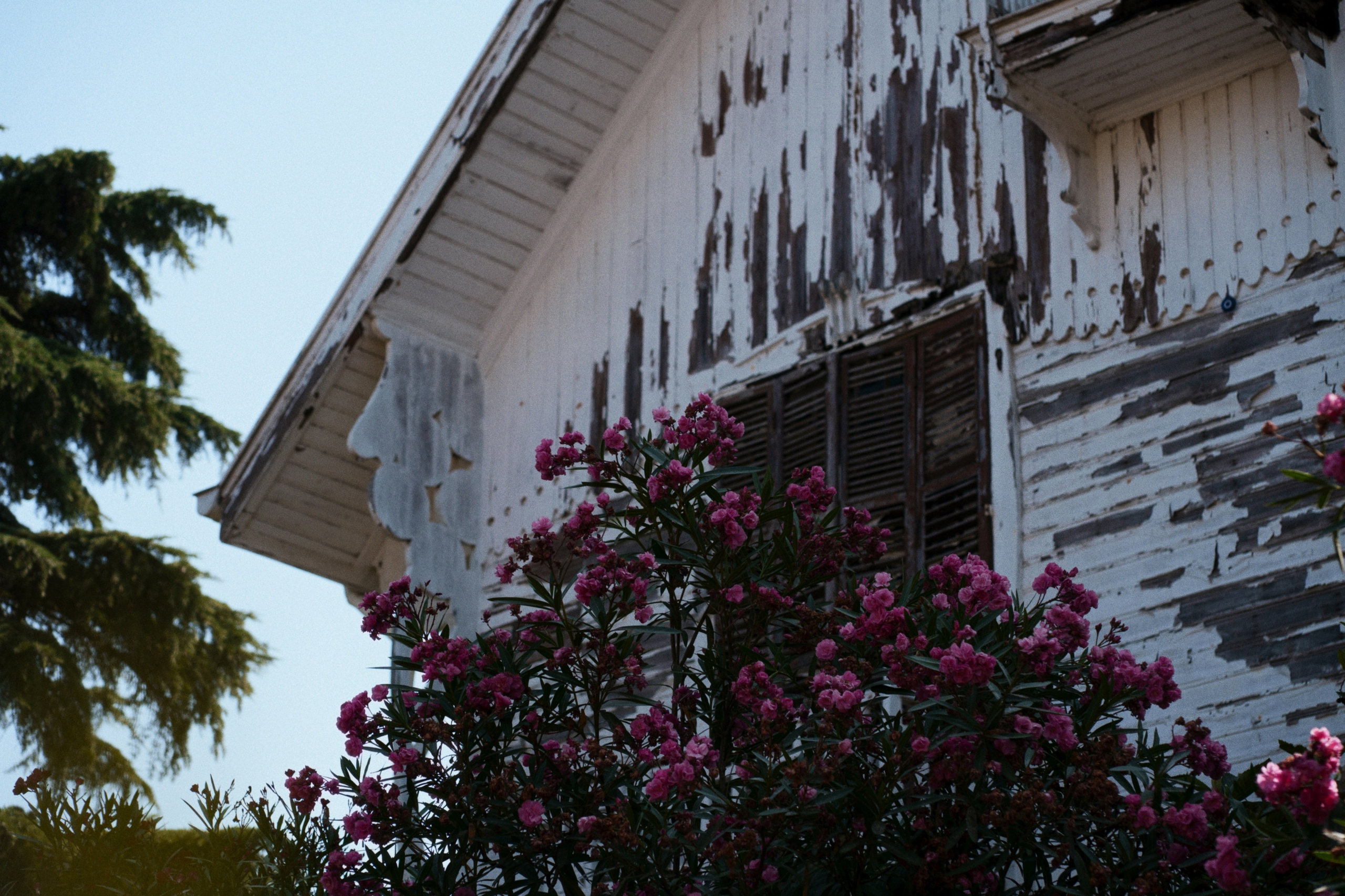 Büyükada х Heybeliada, Istanbul / Türkey SS25. Фотограф Юрин Евгений