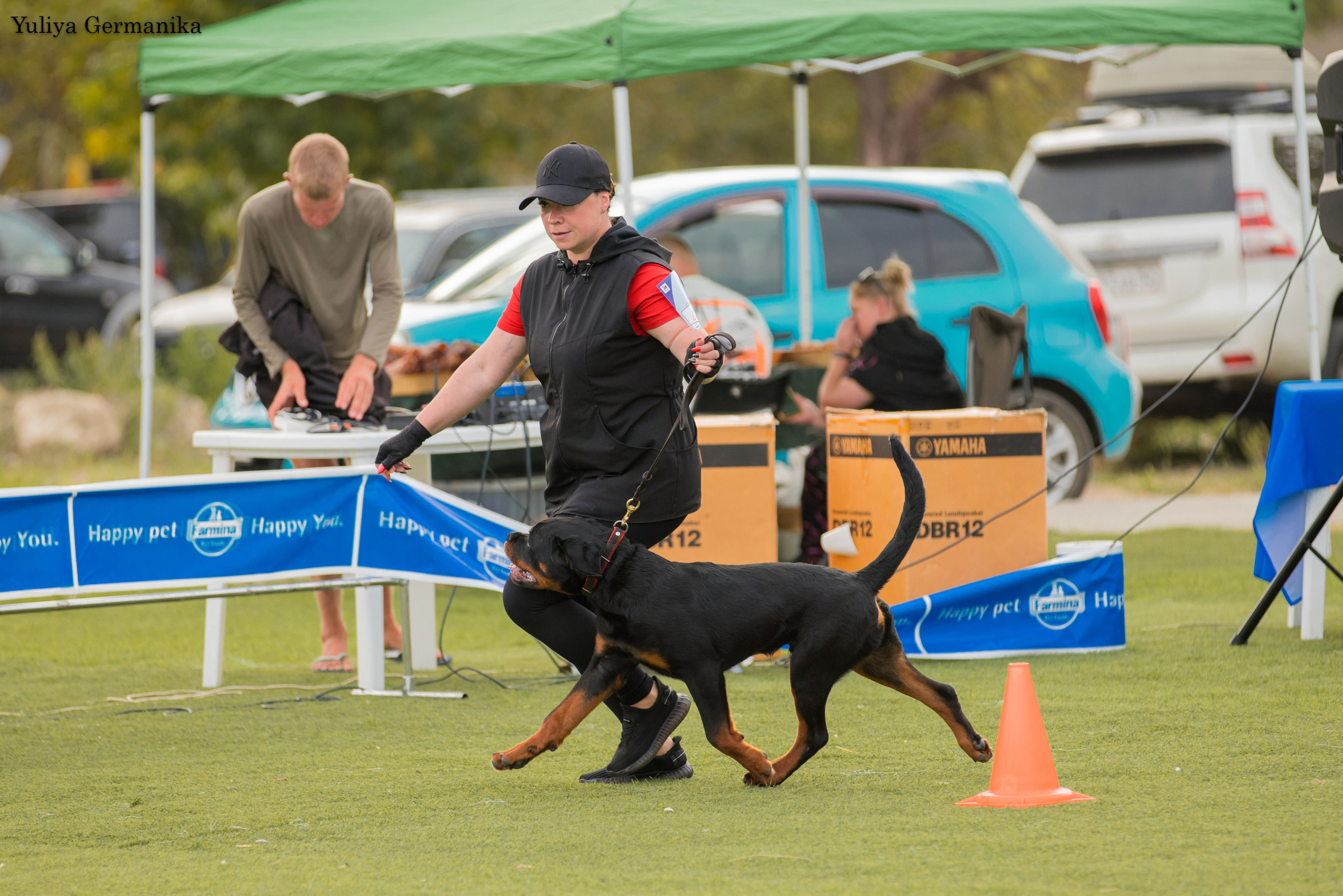 Анапа 16-17.09.2023 моно ротвейлеров. Фотограф-анималист Юлия Германика
