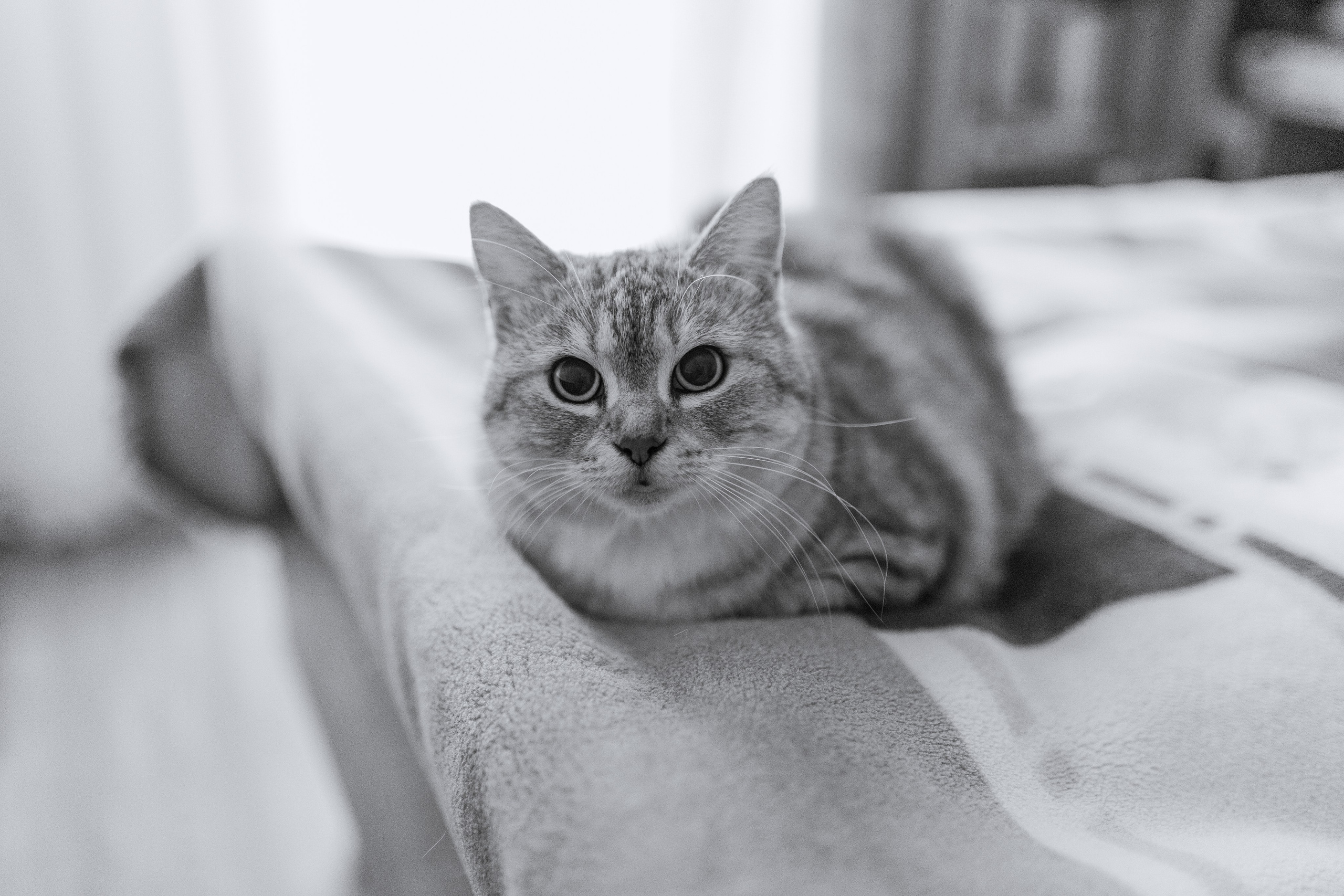 Андрей и Ксения. Свадебный фотограф Витебск Минск