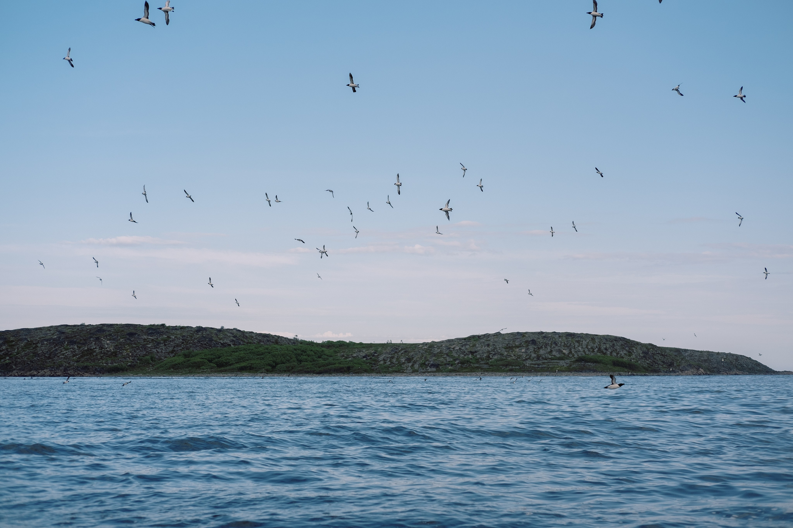 Карелия и Соловецкие острова. Обо мне