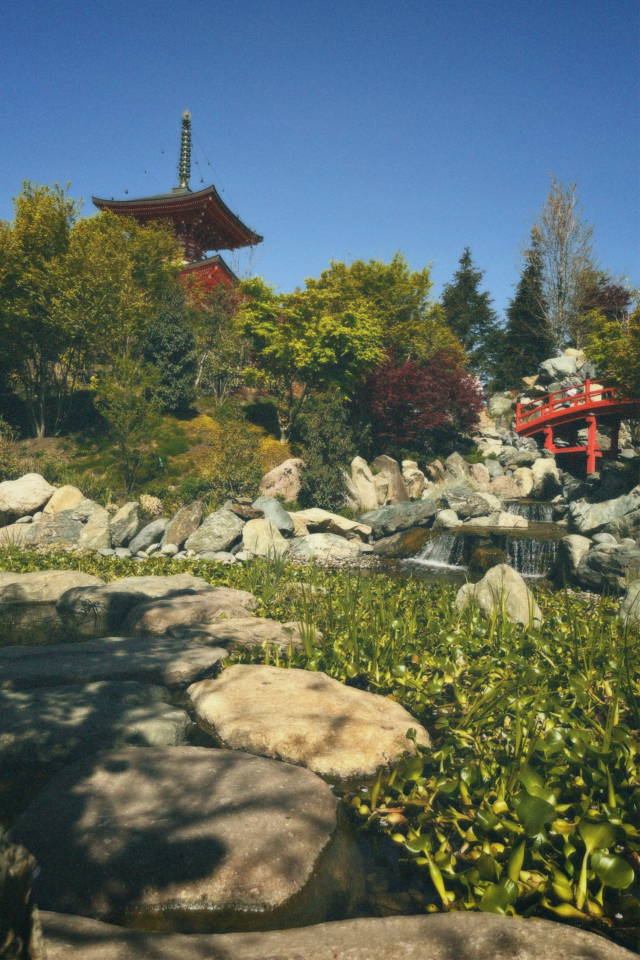 КРАСНОДАР. Портретный и лавстори фотограф в Стерлитамаке Альбина Шарт