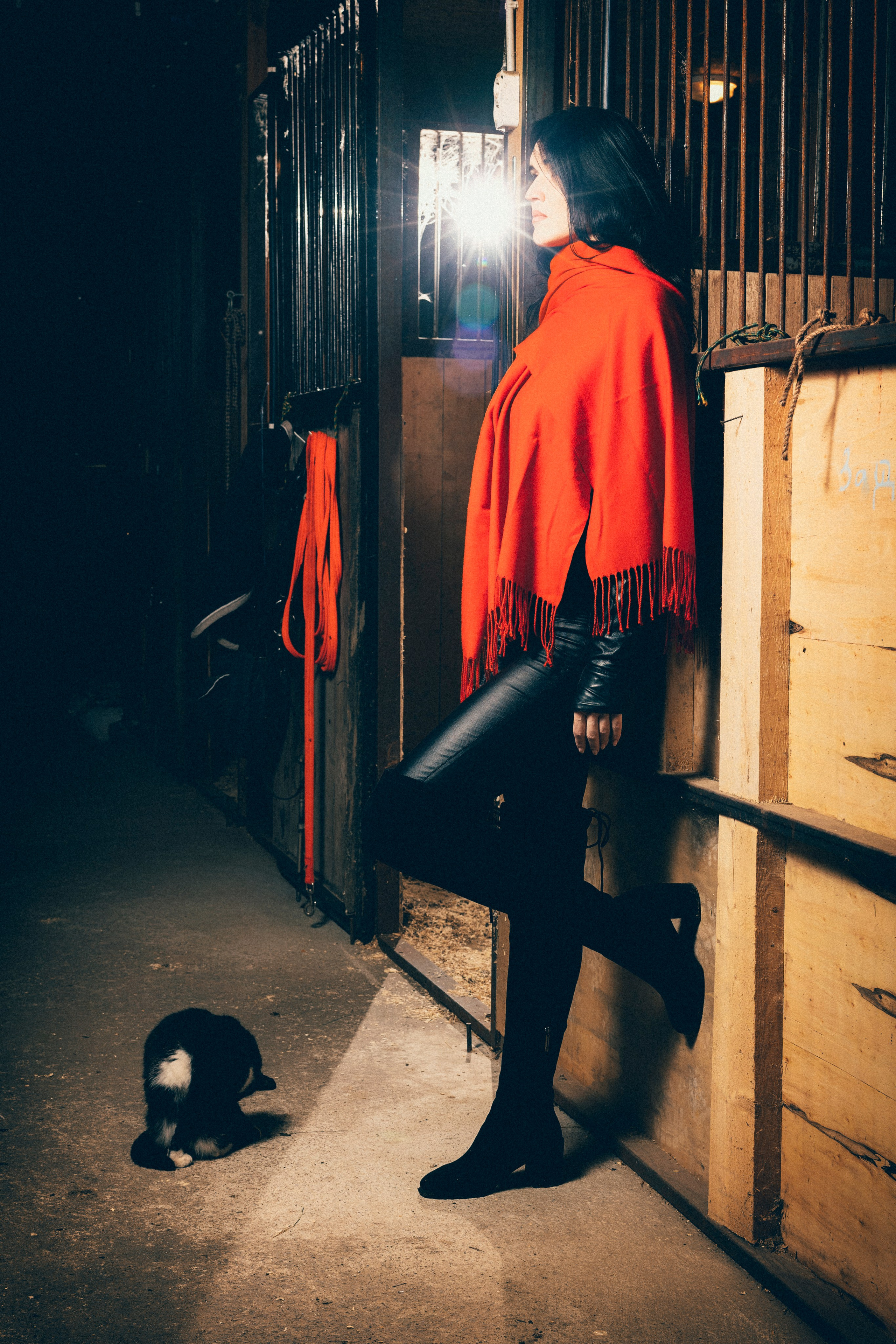 Татьяна, фотосессия с лошадьми в Туле. Фотограф в Туле — Борисов Николай