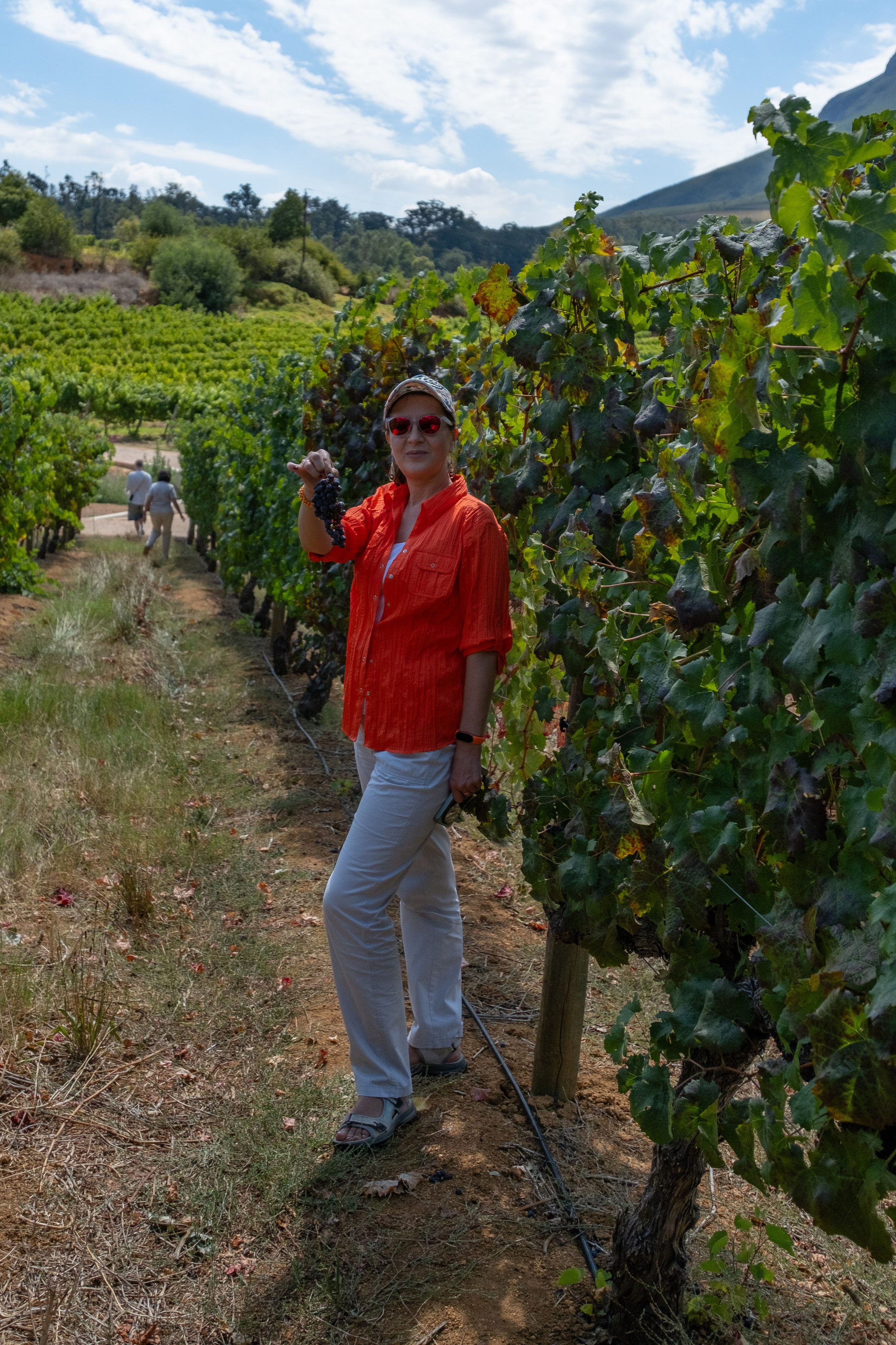 Тауншип и столовая гора. Фотографии из путешествий