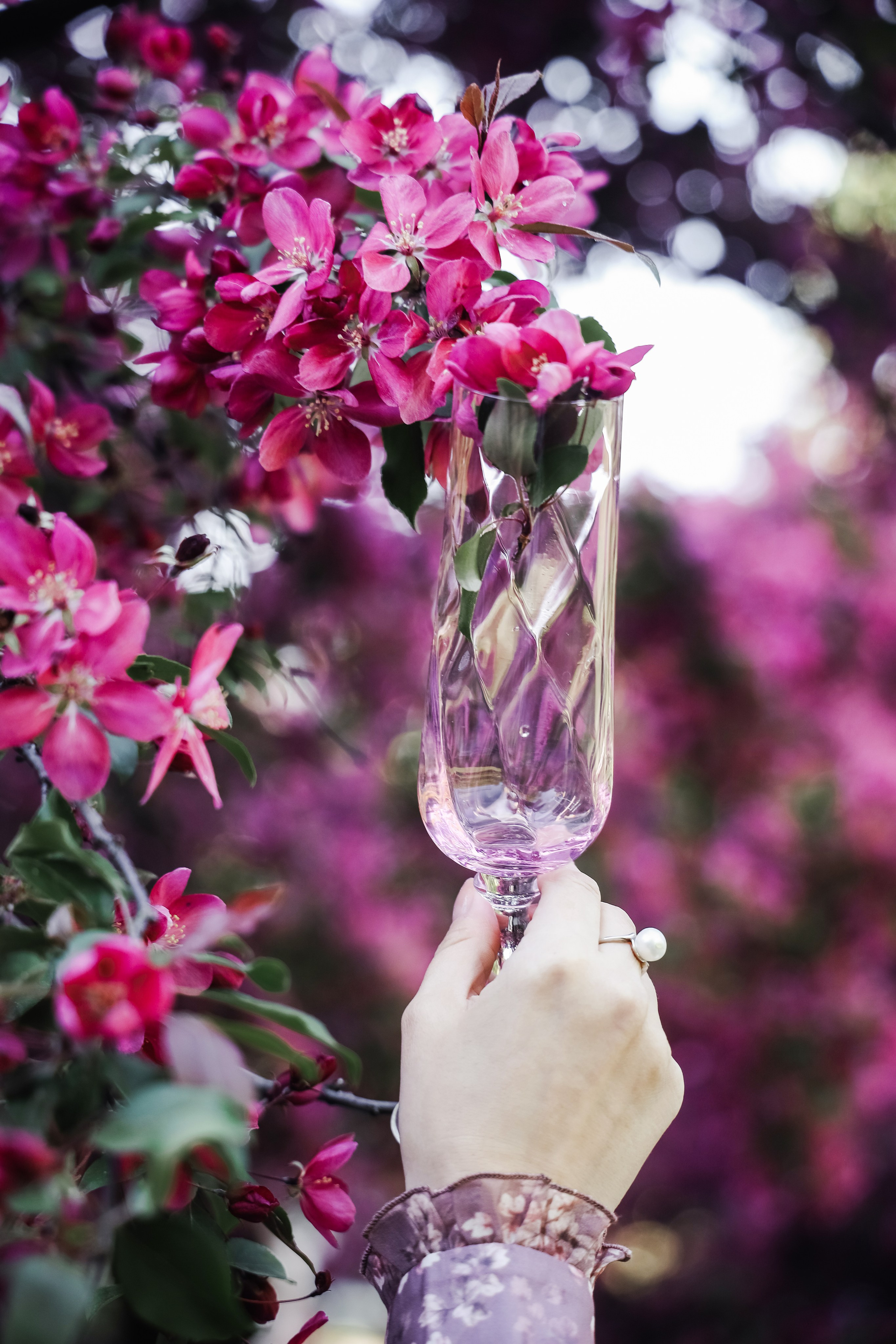 Константин и Елена. Свадебный и семейный фотограф Юлия Девятайкина