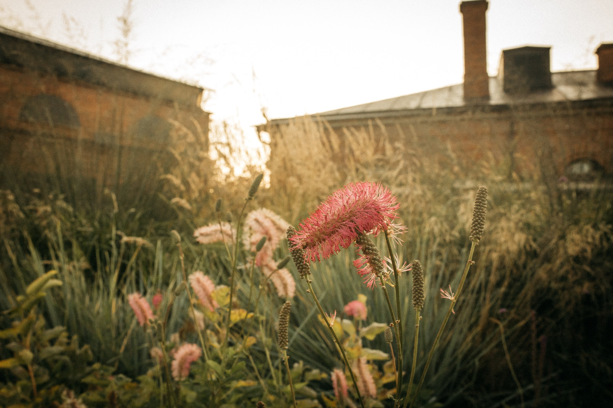 Городские локации в Питере