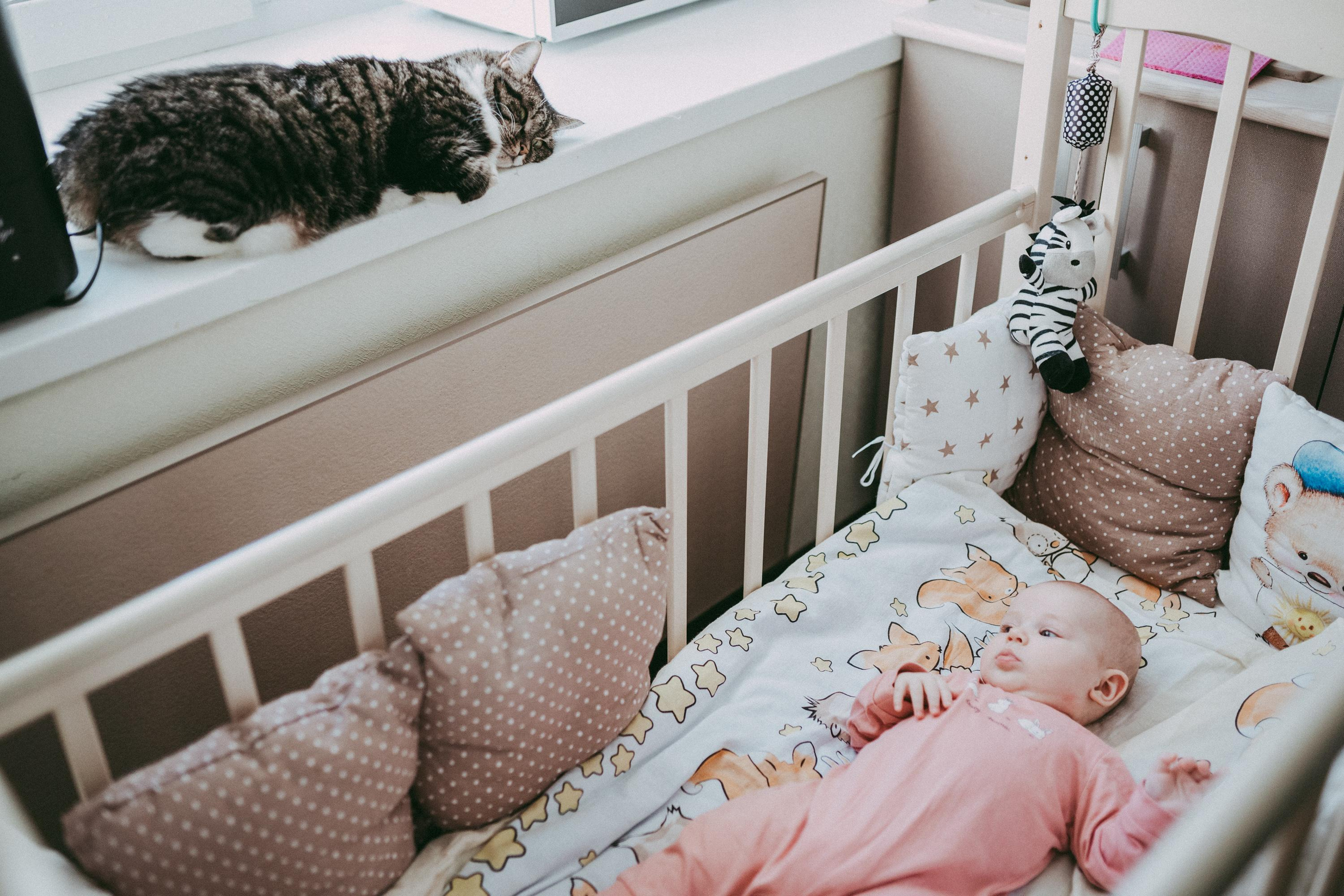 Дашуля. Фотограф Ольга Молева