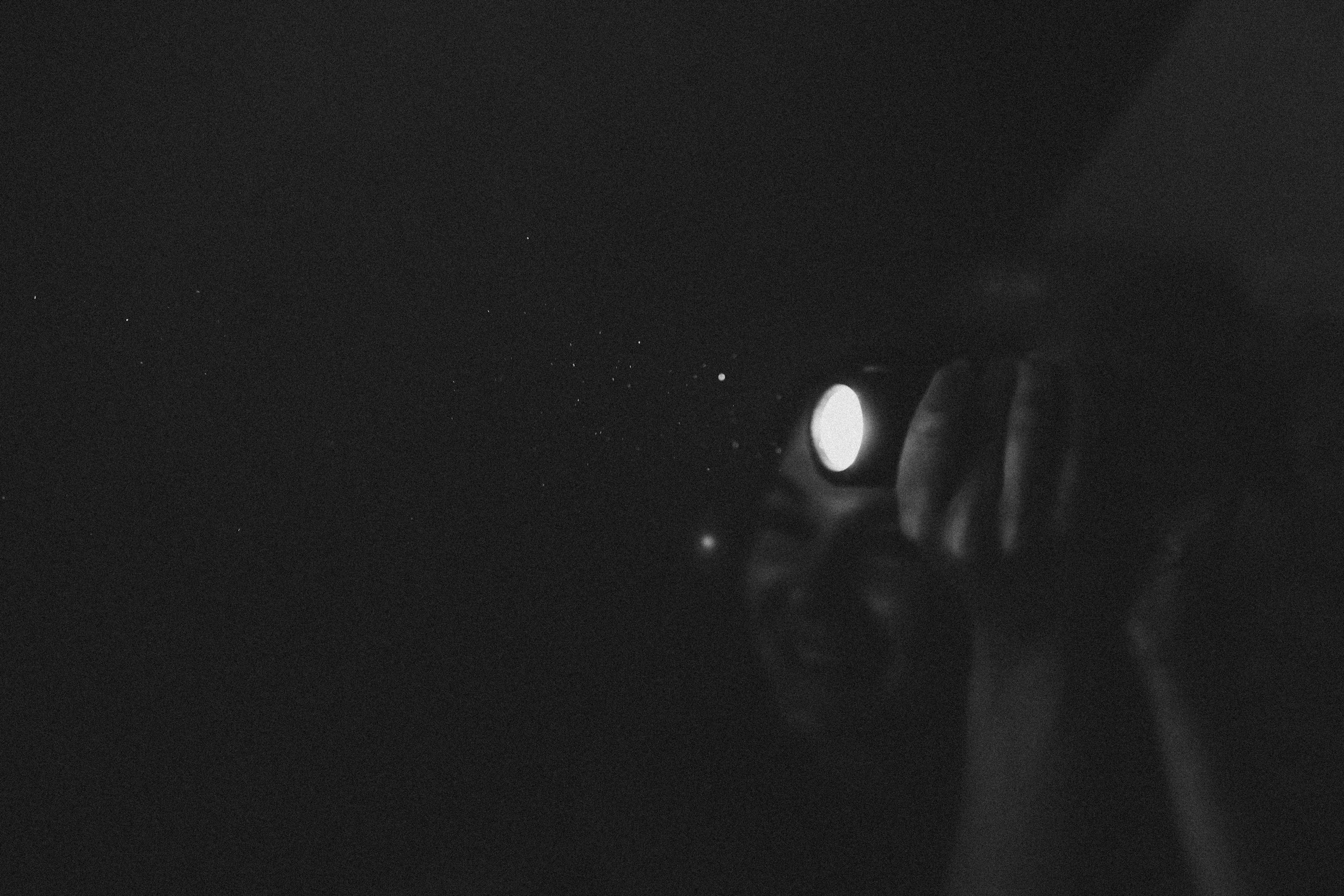 Домашняя идиллия. Фотограф Ольга Молева