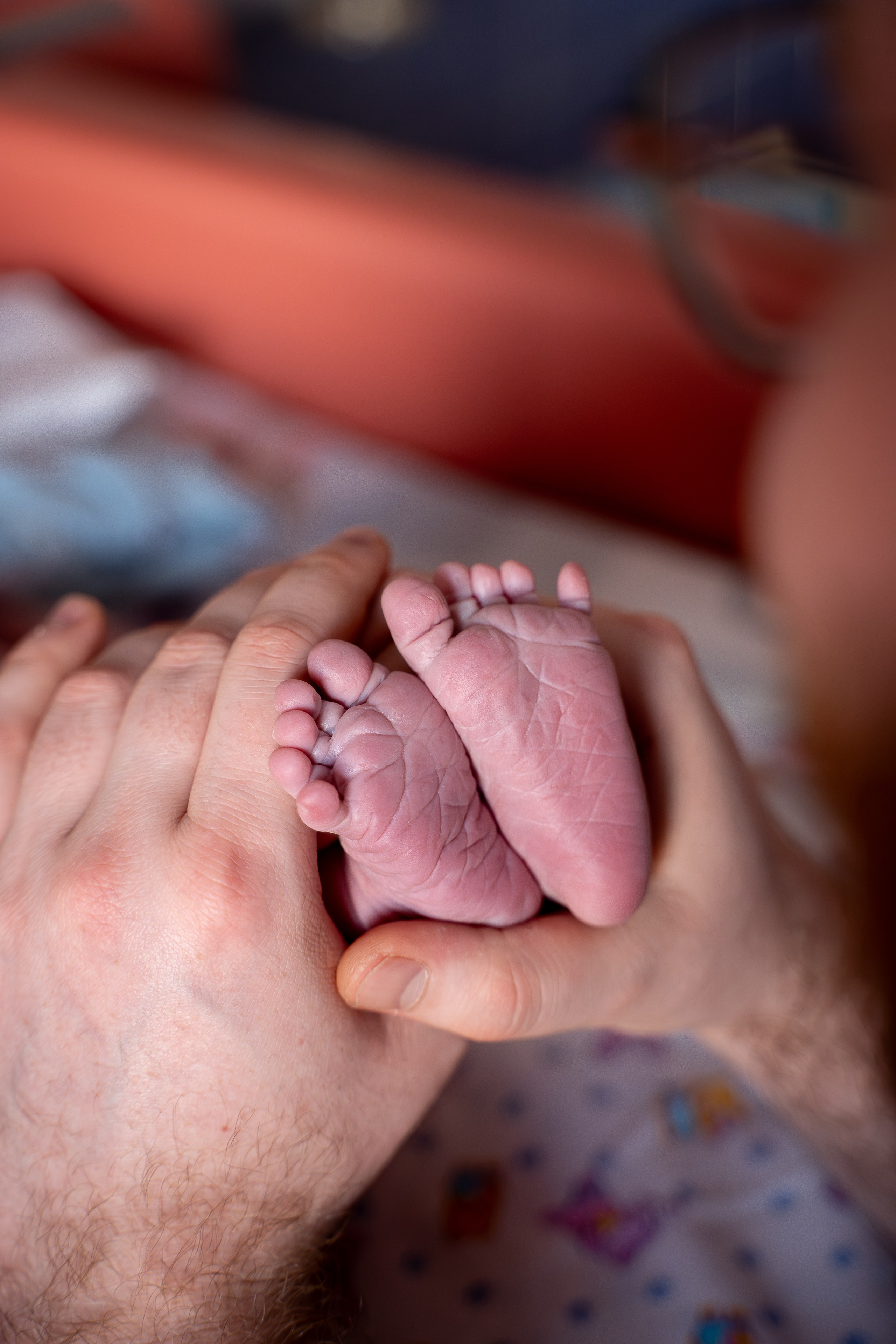 Давид. Фотограф на роды Москва Ольга Летучева