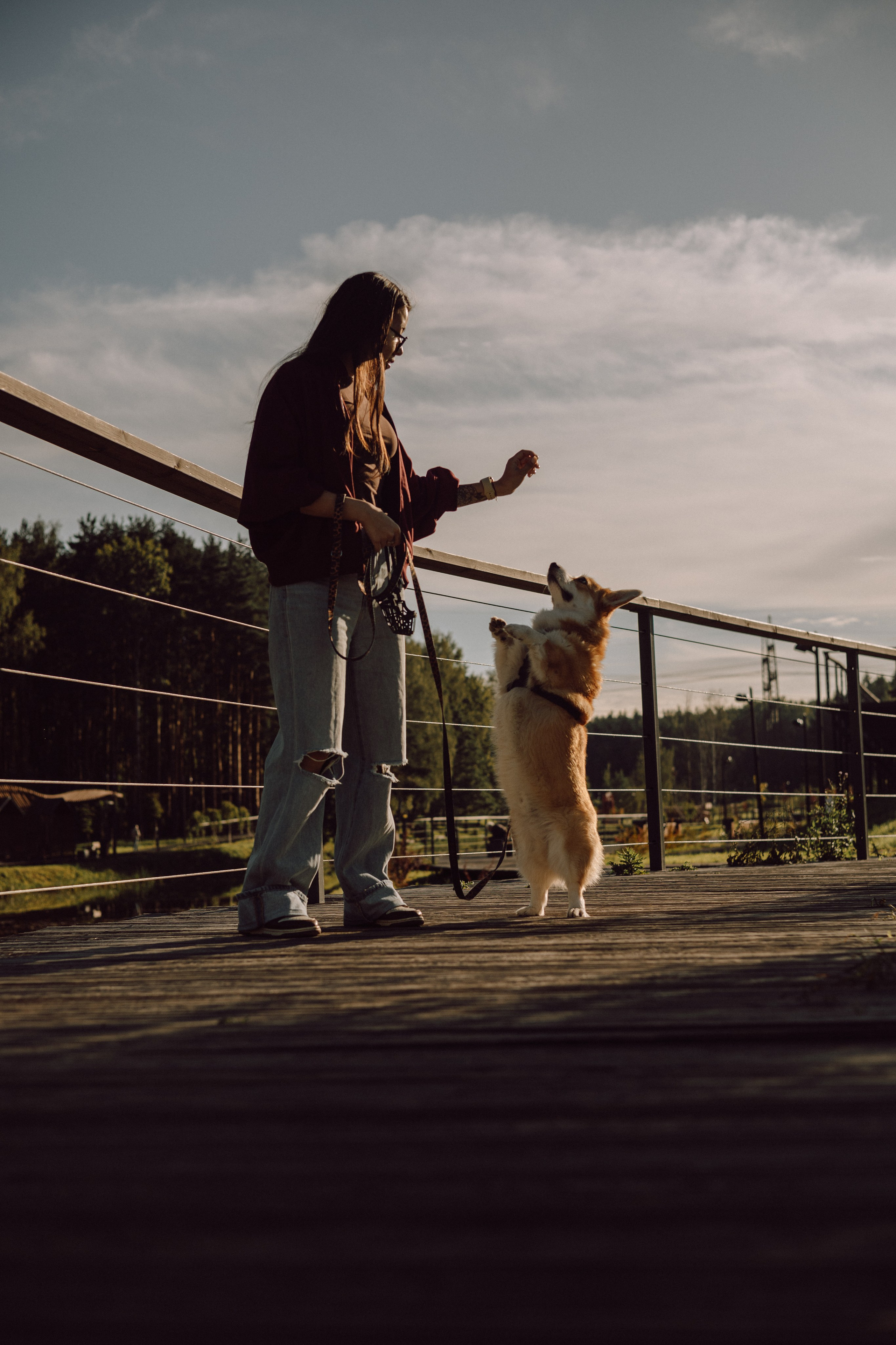 Мари & Йосик. Фотограф — анималист •love-story•|Санкт-Петербург