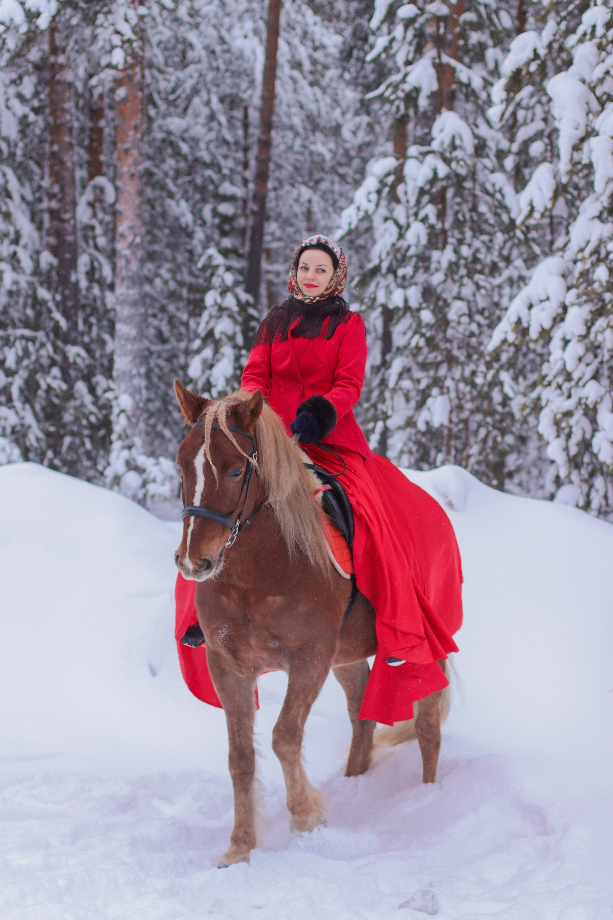 Конные съемки зимой. Фотограф в Сургуте Брызгунова Анастасия