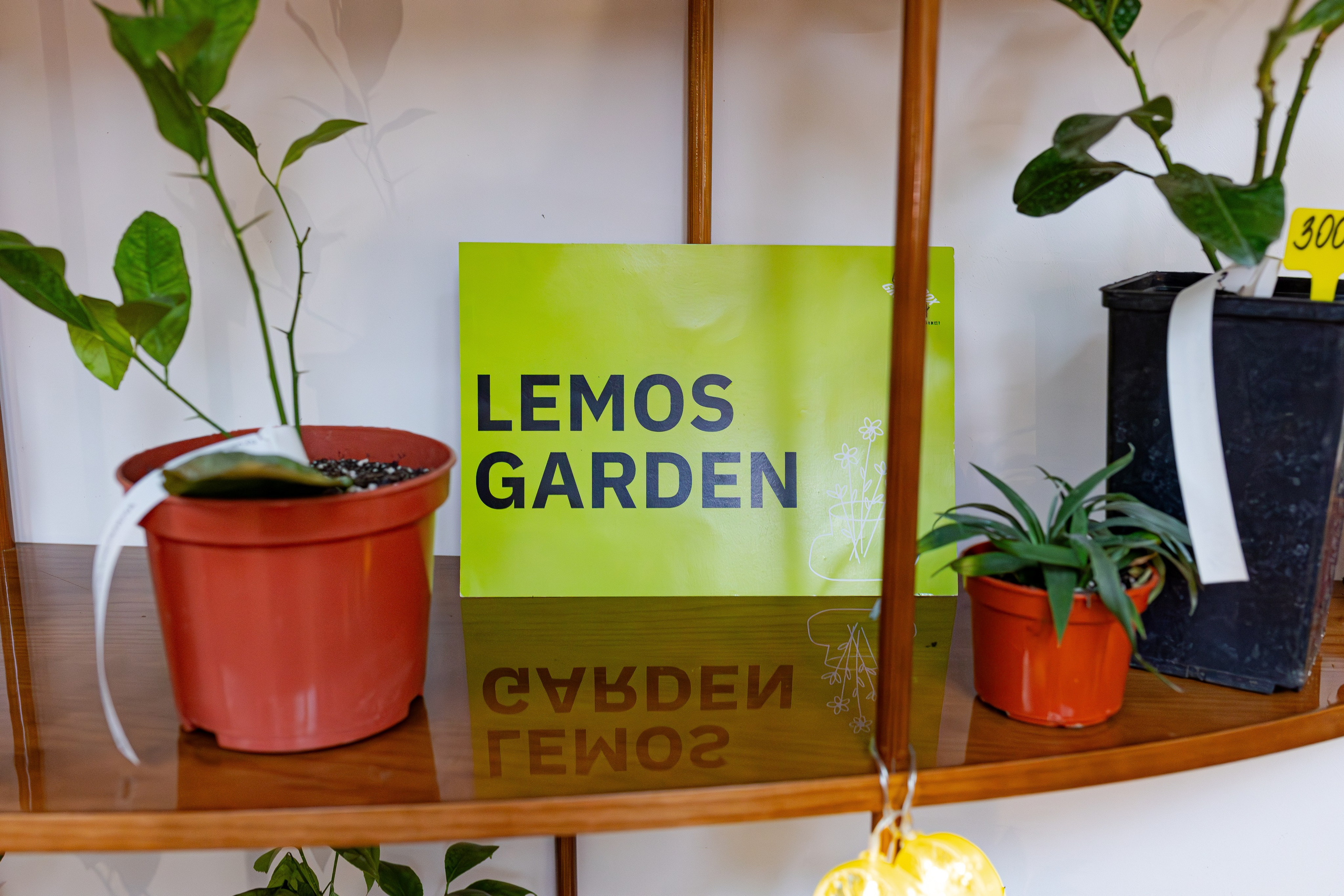 Growbox 1–2 марта. Александра Куликова фотограф, Москва