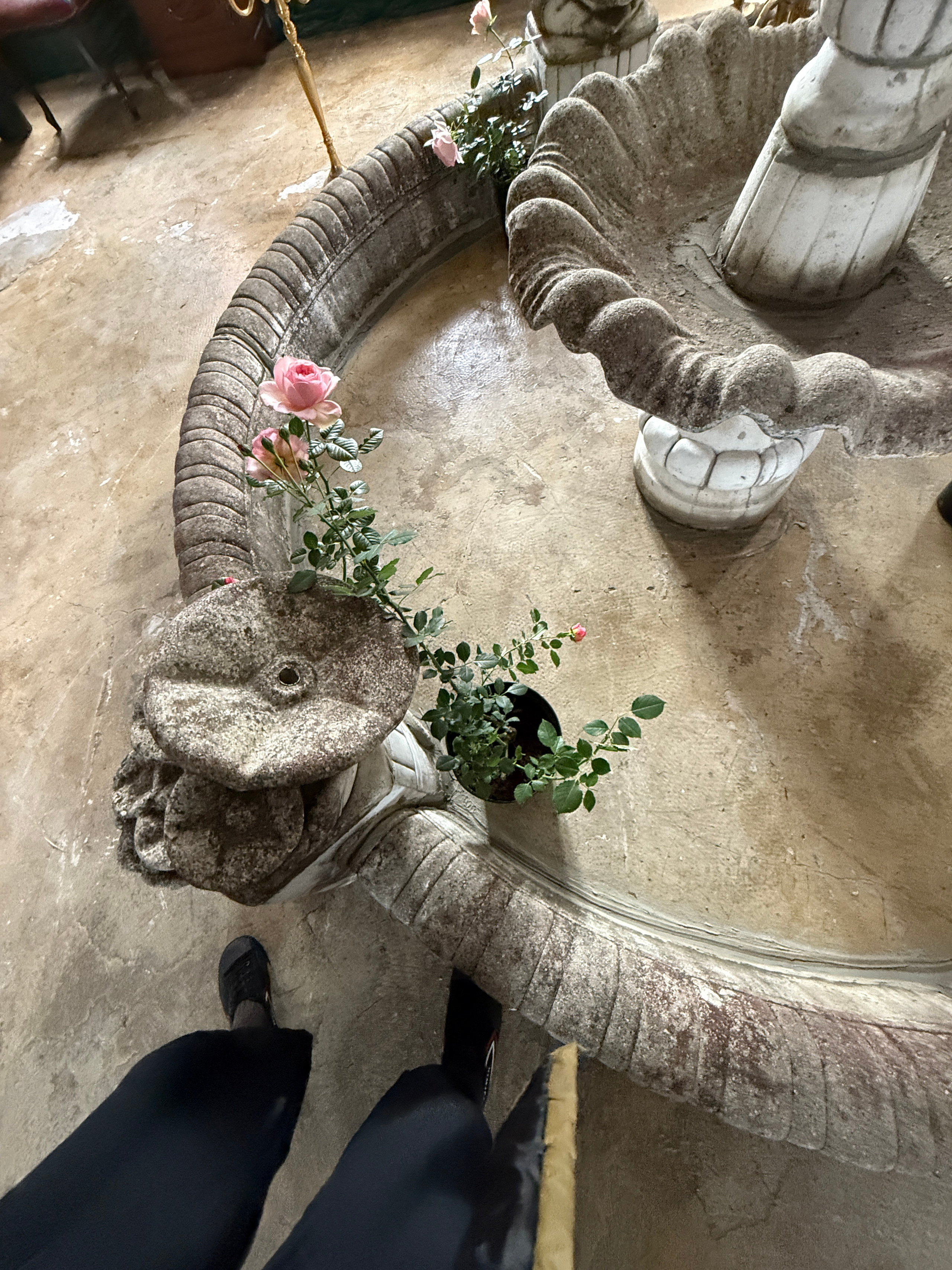 Фотостудия МОХ Зал Сказки. Фотограф Настя Лев