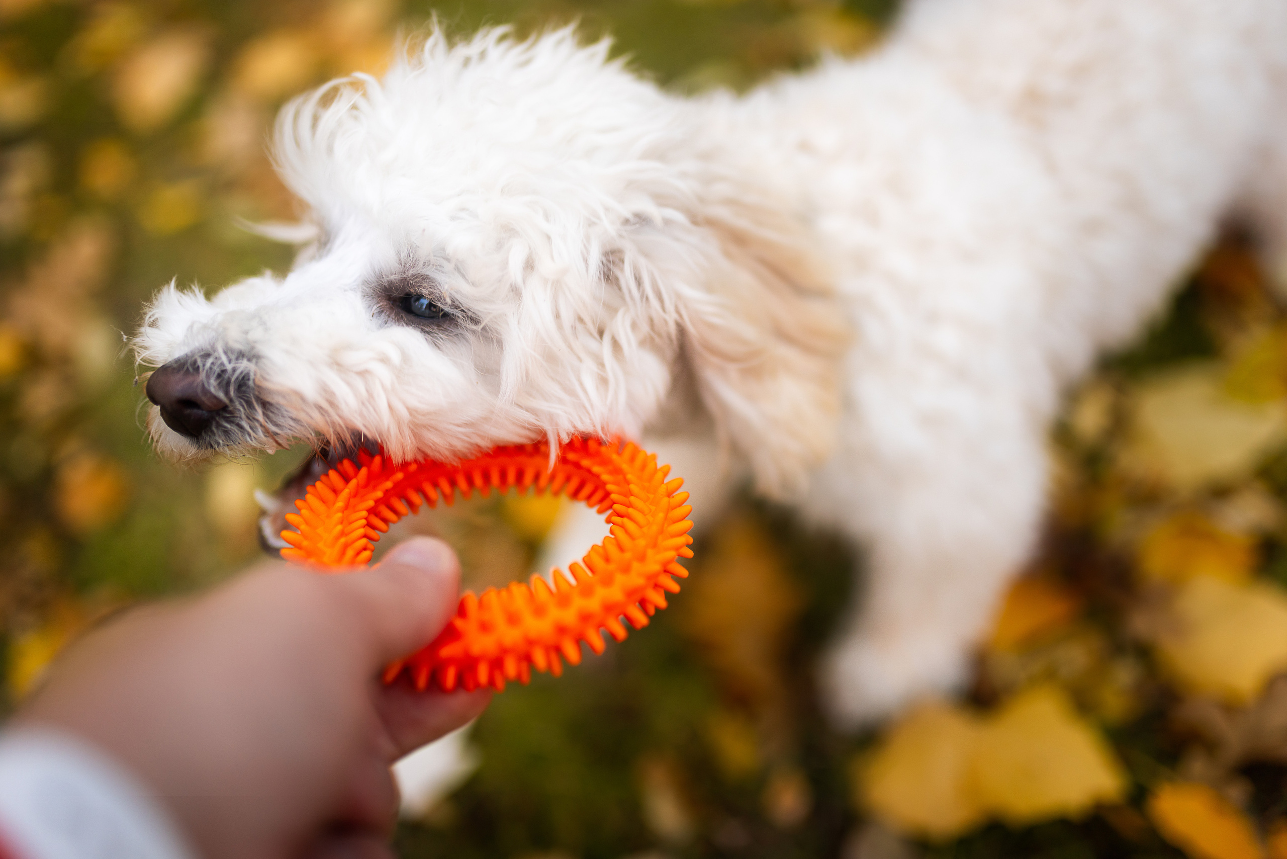 Мария и Филя. Фотограф, оператор Максим Кузнецов