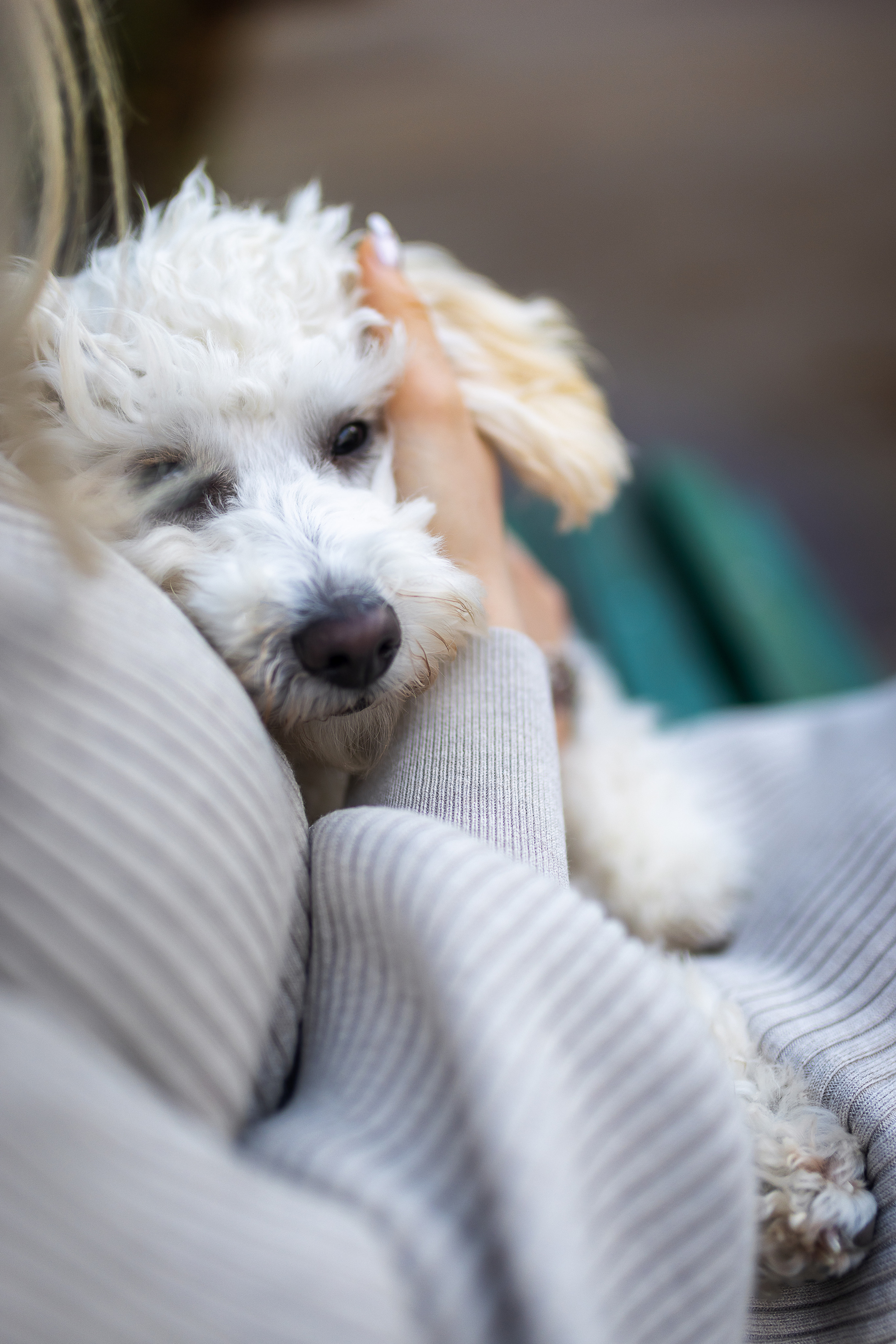 Мария и Филя. Фотограф, оператор Максим Кузнецов