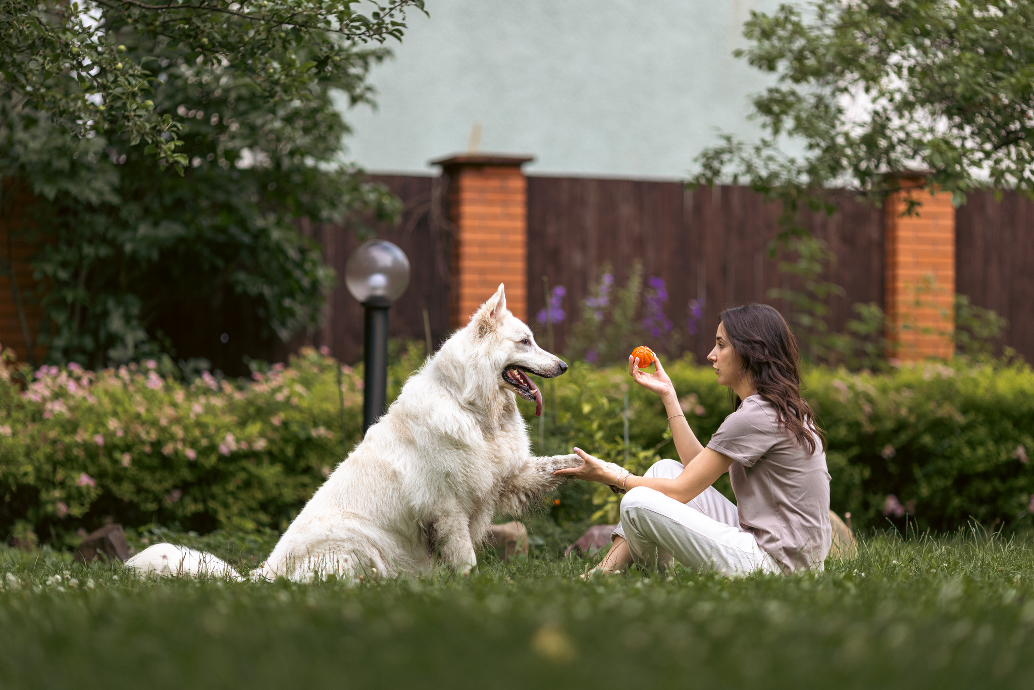 С домашними животными. Фотограф, оператор Максим Кузнецов