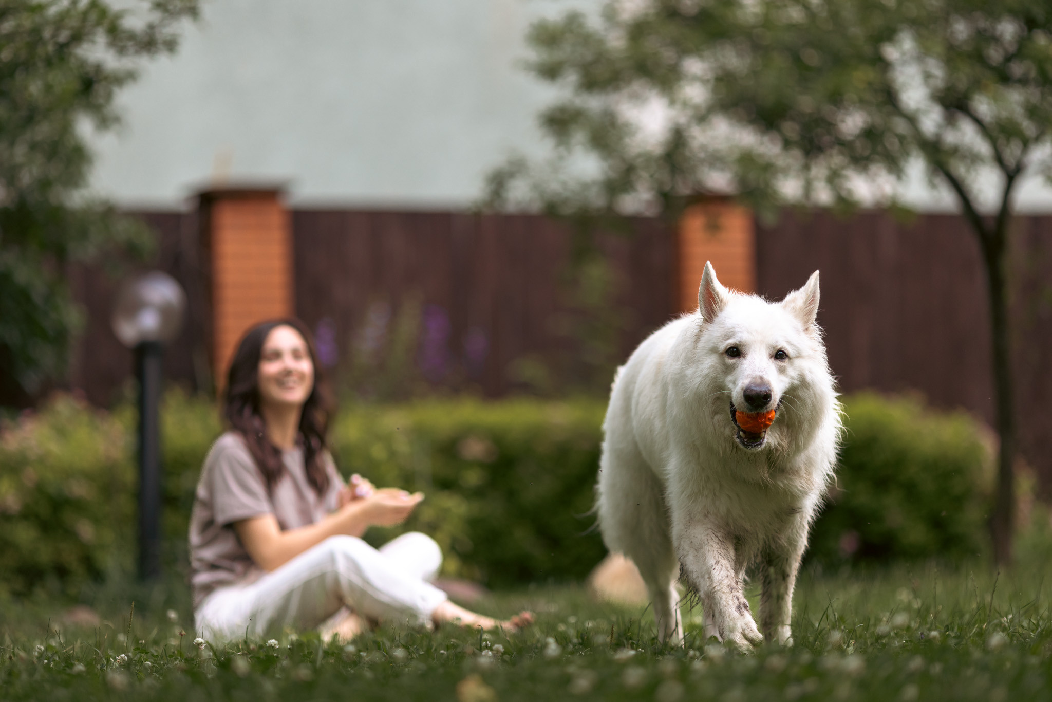 С домашними животными. Фотограф, оператор Максим Кузнецов