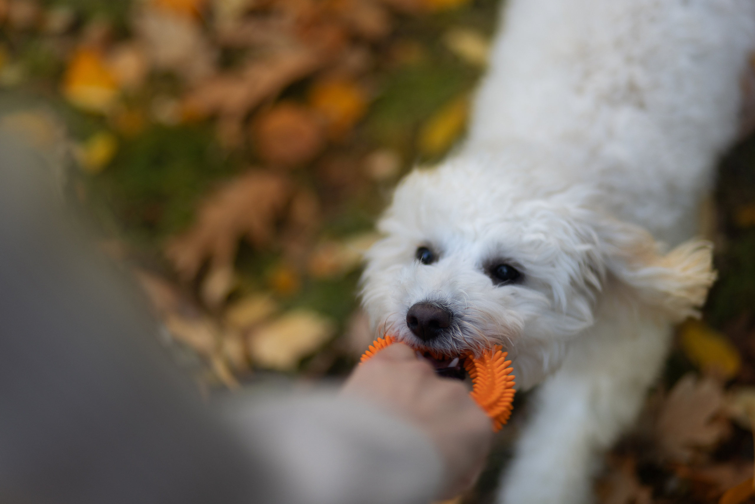 Мария и Филя. Фотограф, оператор Максим Кузнецов