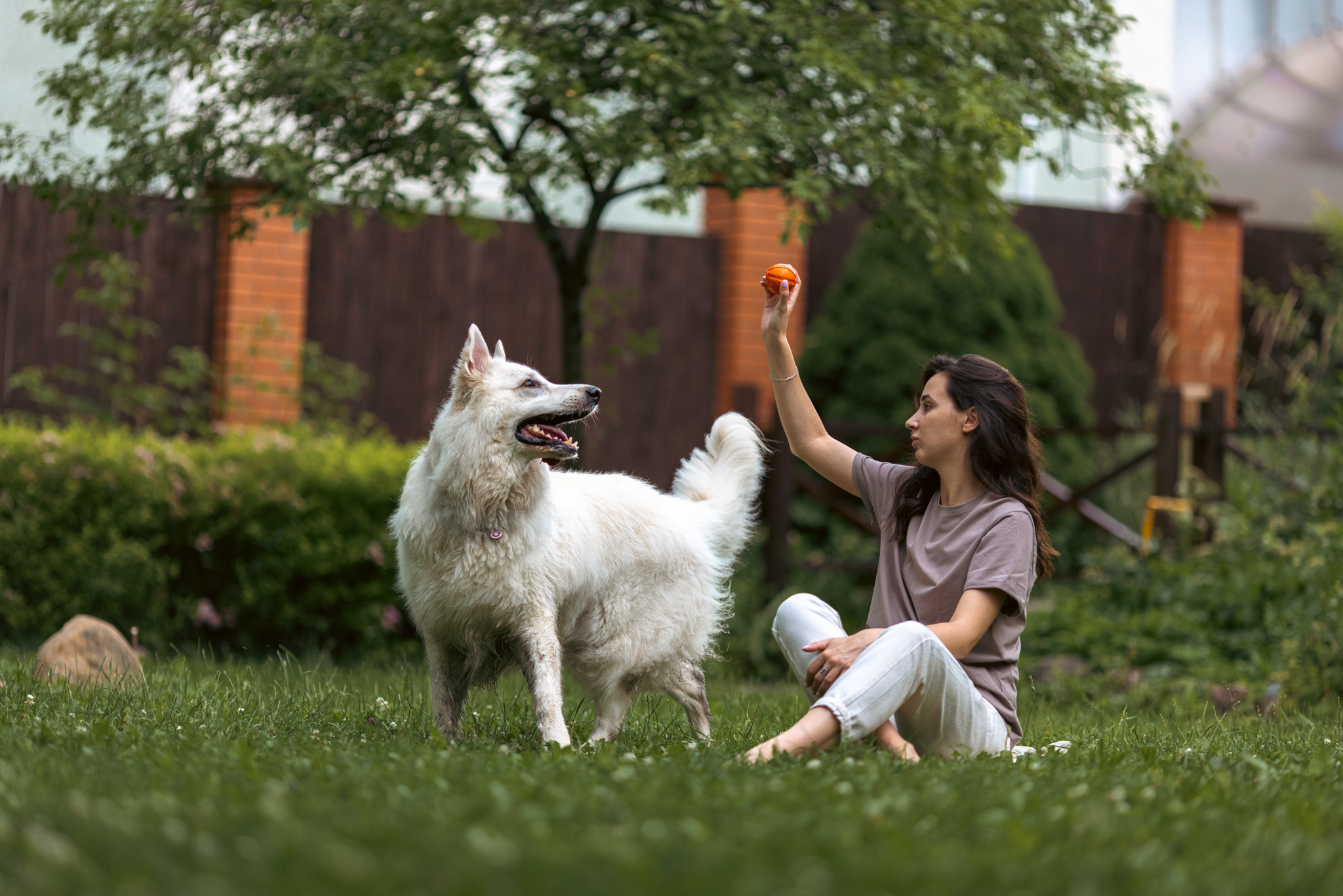 С домашними животными. Фотограф, оператор Максим Кузнецов