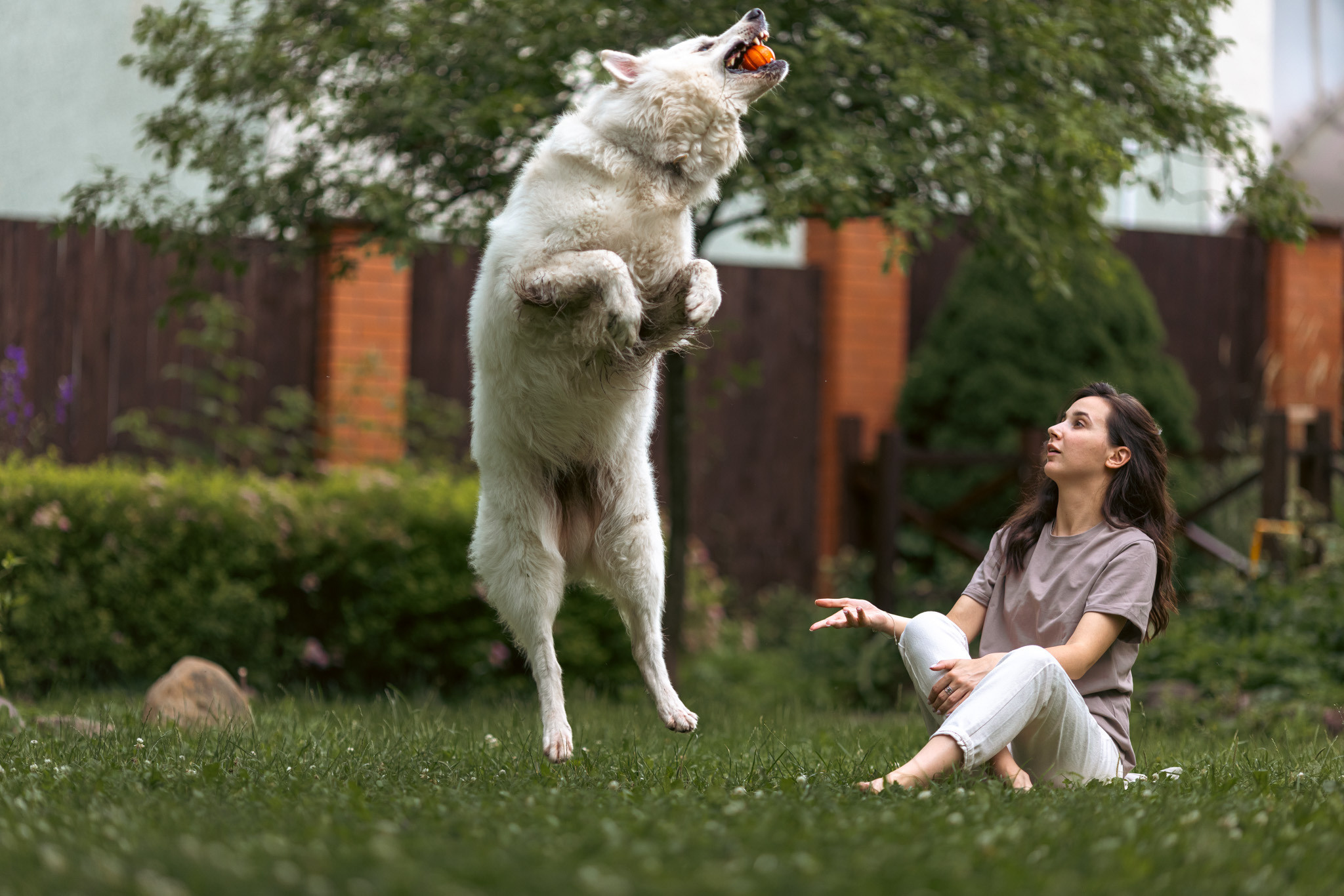 С домашними животными. Фотограф, оператор Максим Кузнецов