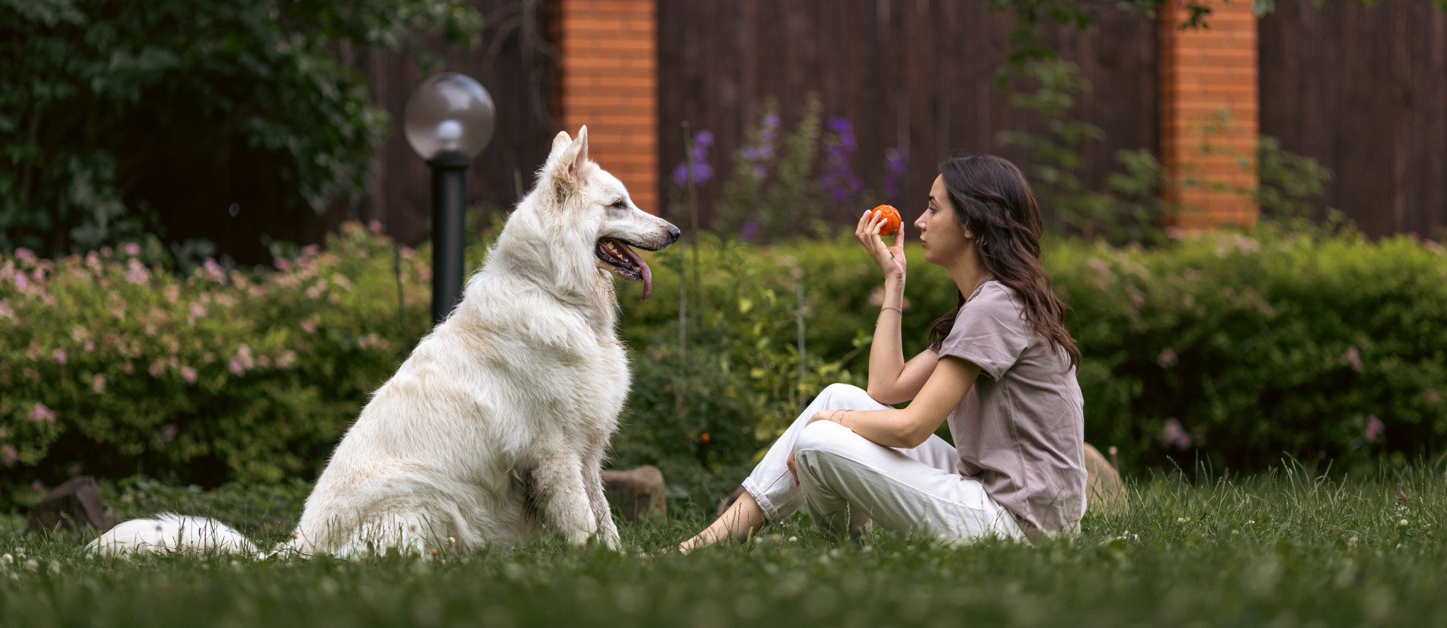 С домашними животными. Фотограф, оператор Максим Кузнецов