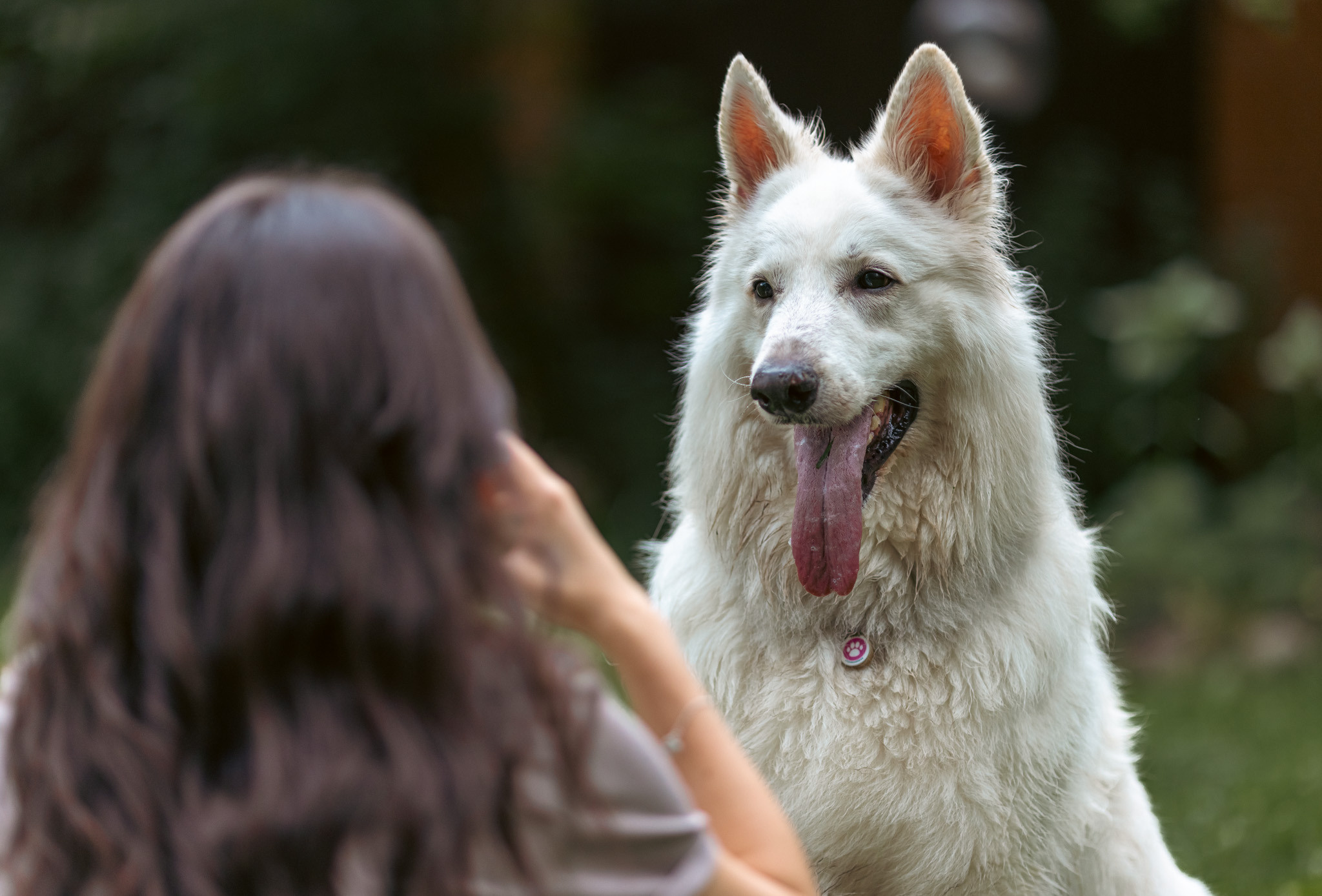 С домашними животными. Фотограф, оператор Максим Кузнецов