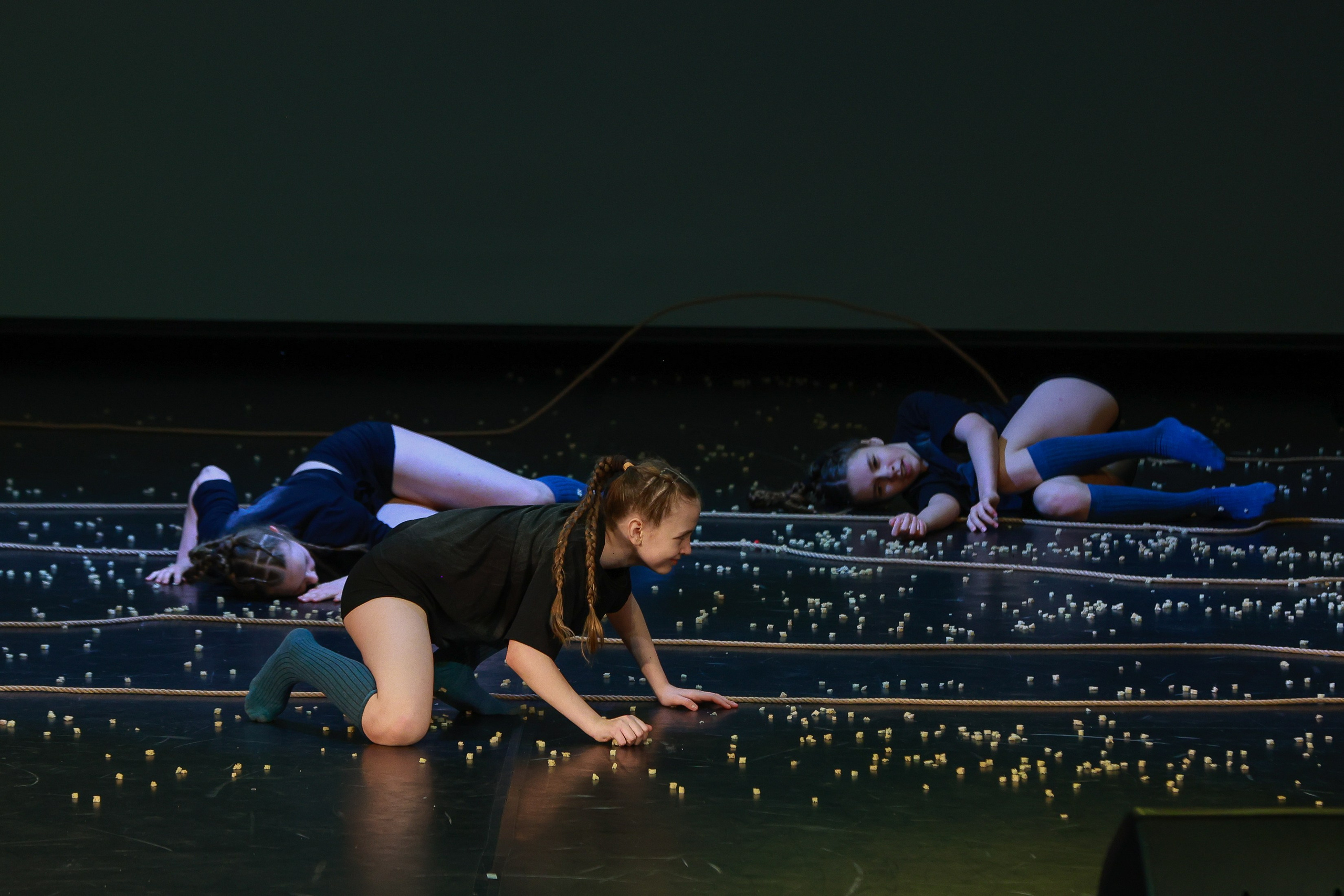 Небесные ласточки на Танц ЭКСПО 2026. Фотограф Юлия Мальцева