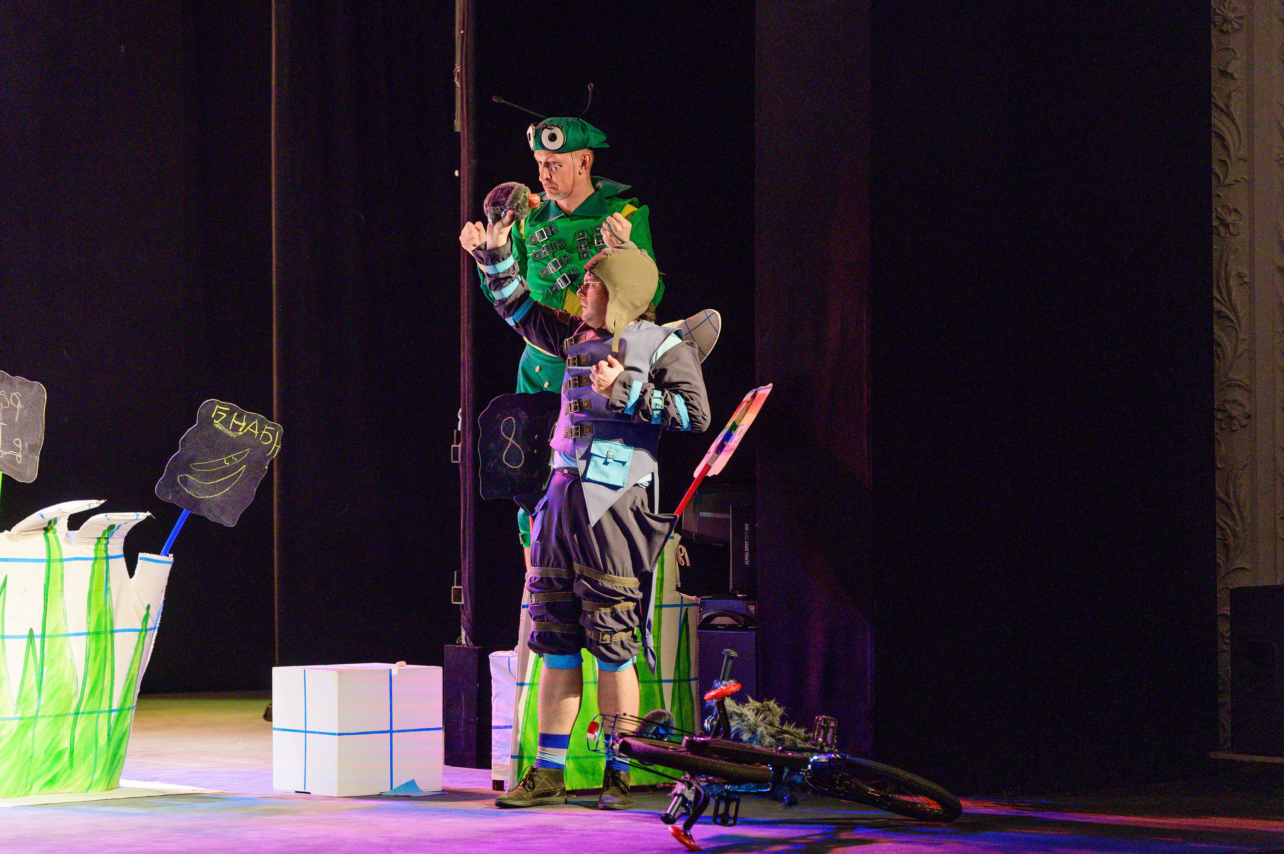 Муха Цокотуха. Фотоуслуги, услуги фотографа, фотографирование важных событий