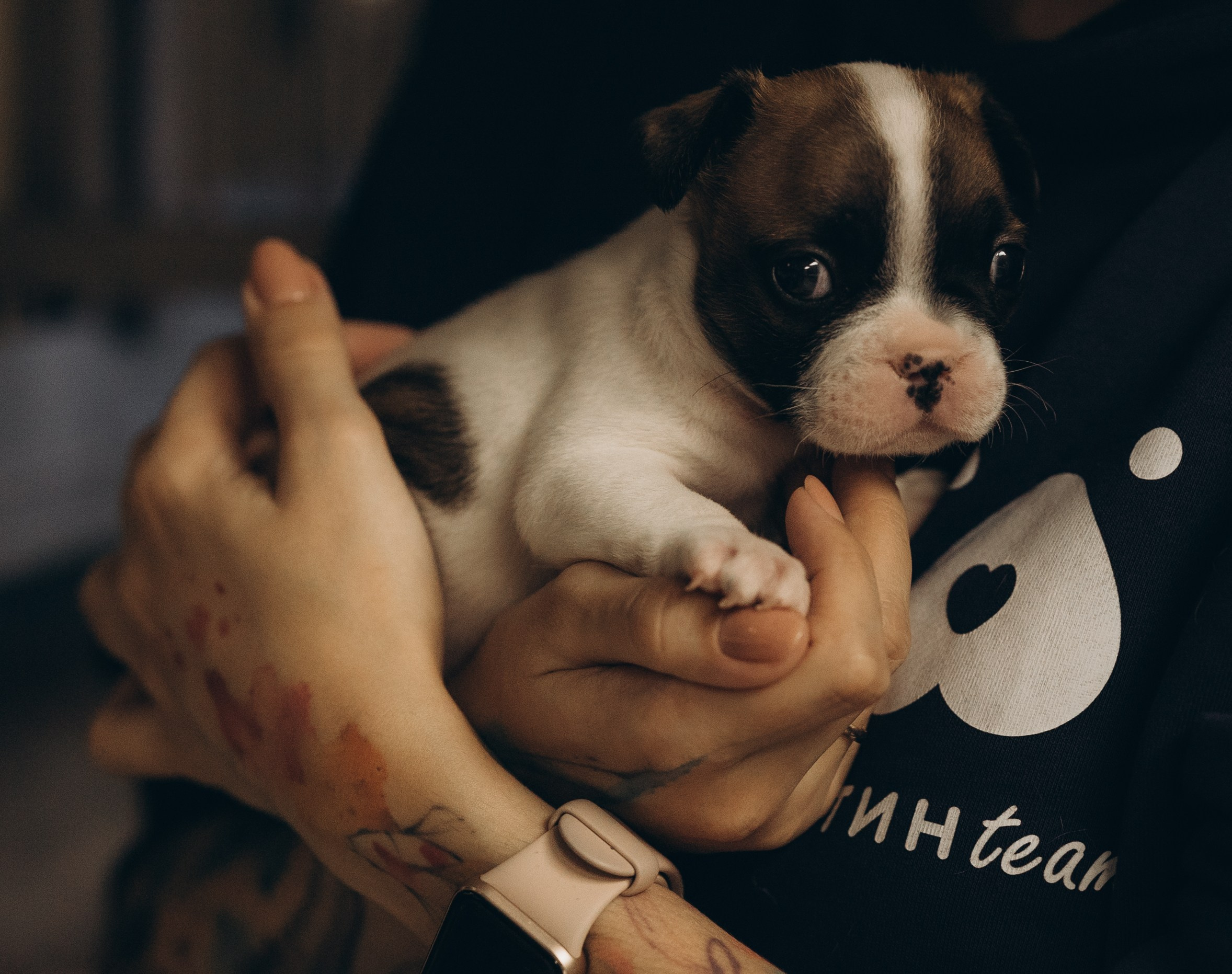 VetLife. Татьяна Афонина | Фотограф