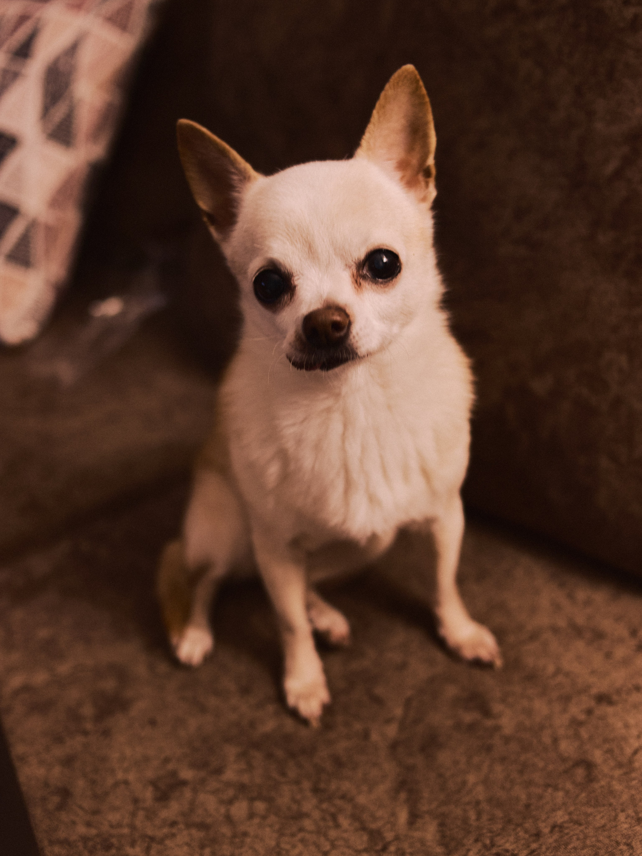 Диптих. Jorgis — фотограф в Хургаде / обучение фотографии